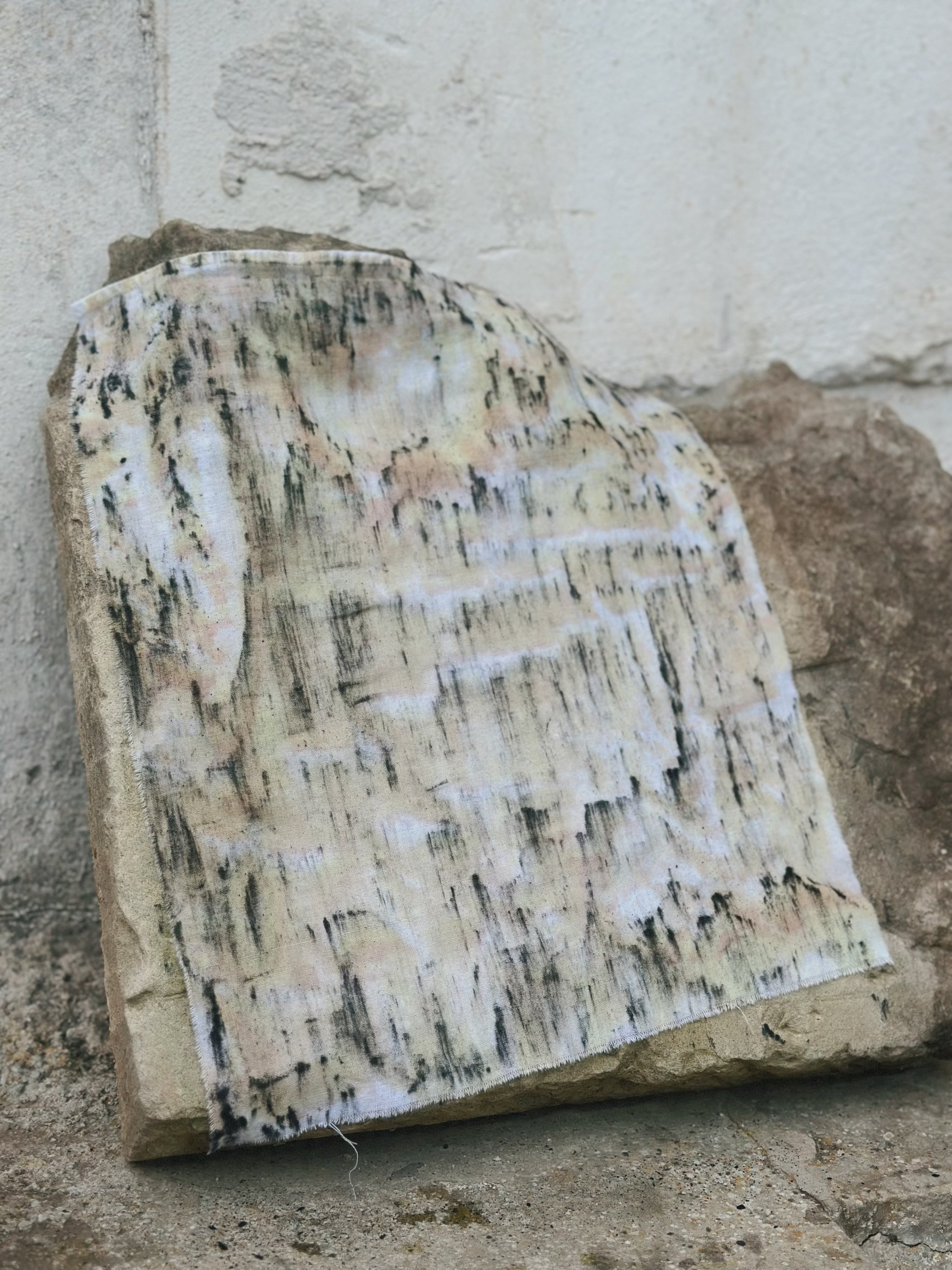 Photo Feb 23 2026, 14 05 54 (8).jpg