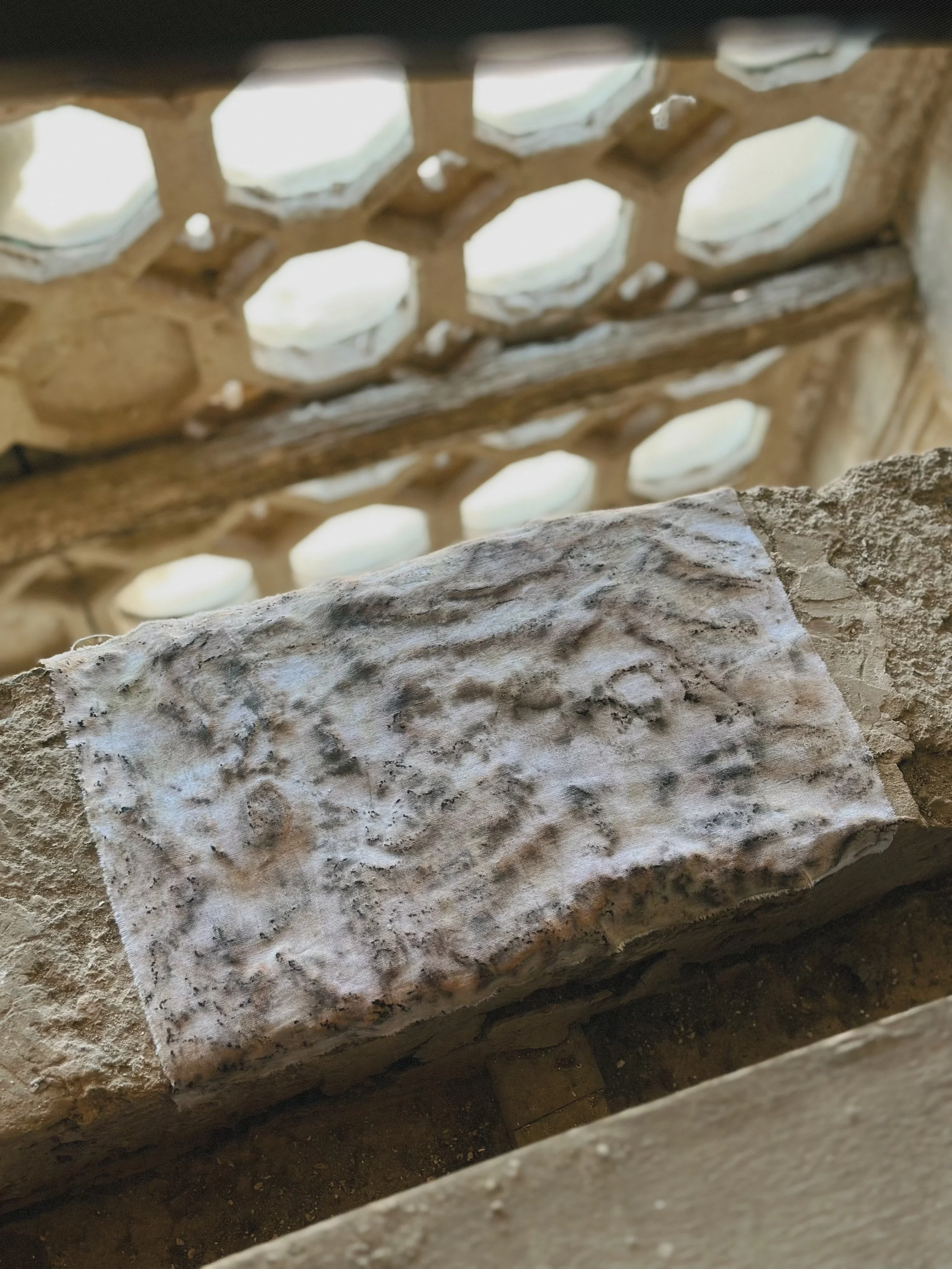 Photo Feb 23 2026, 14 05 54 (9).jpg