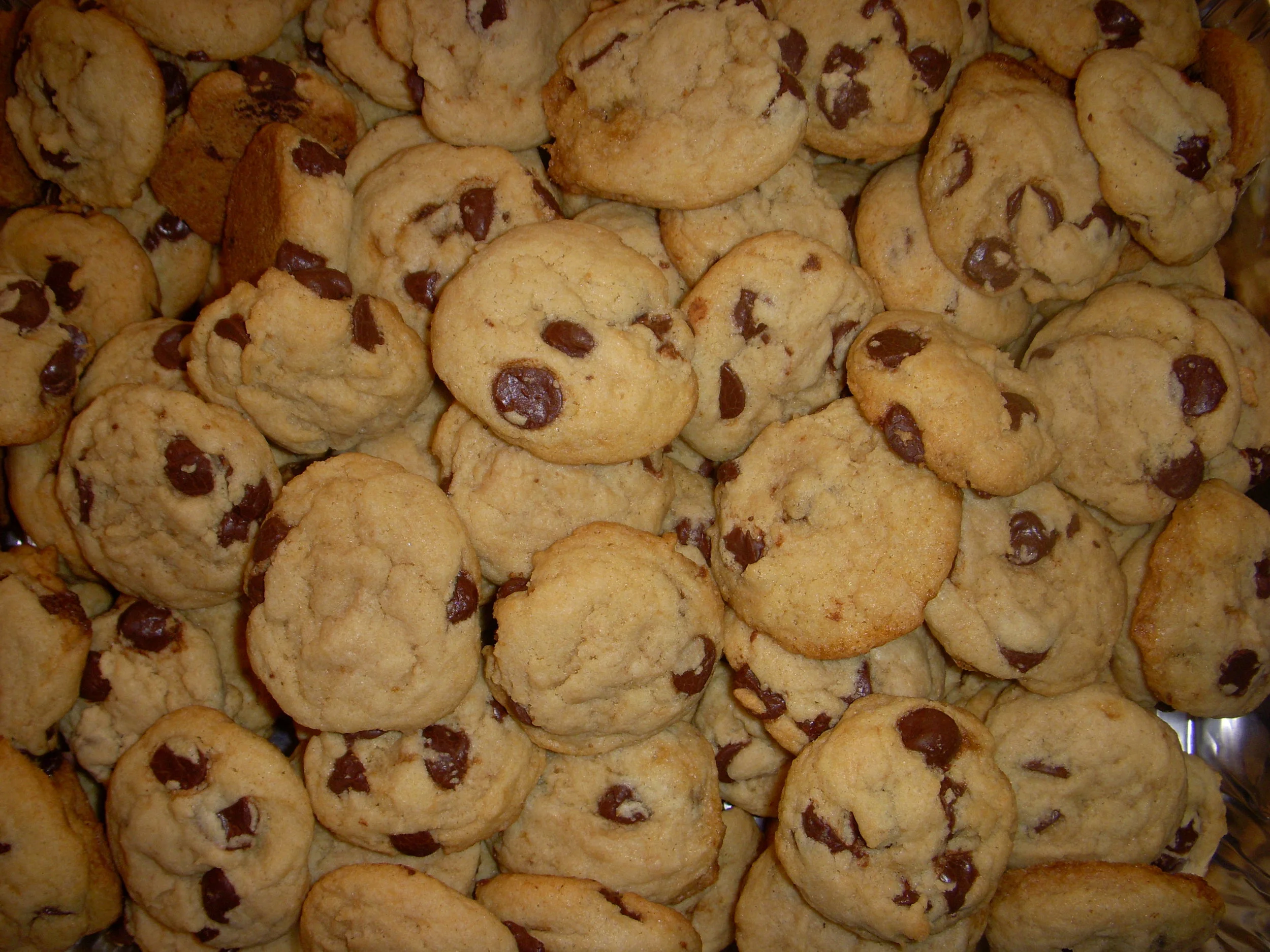 Chocolate Chip 1.JPG