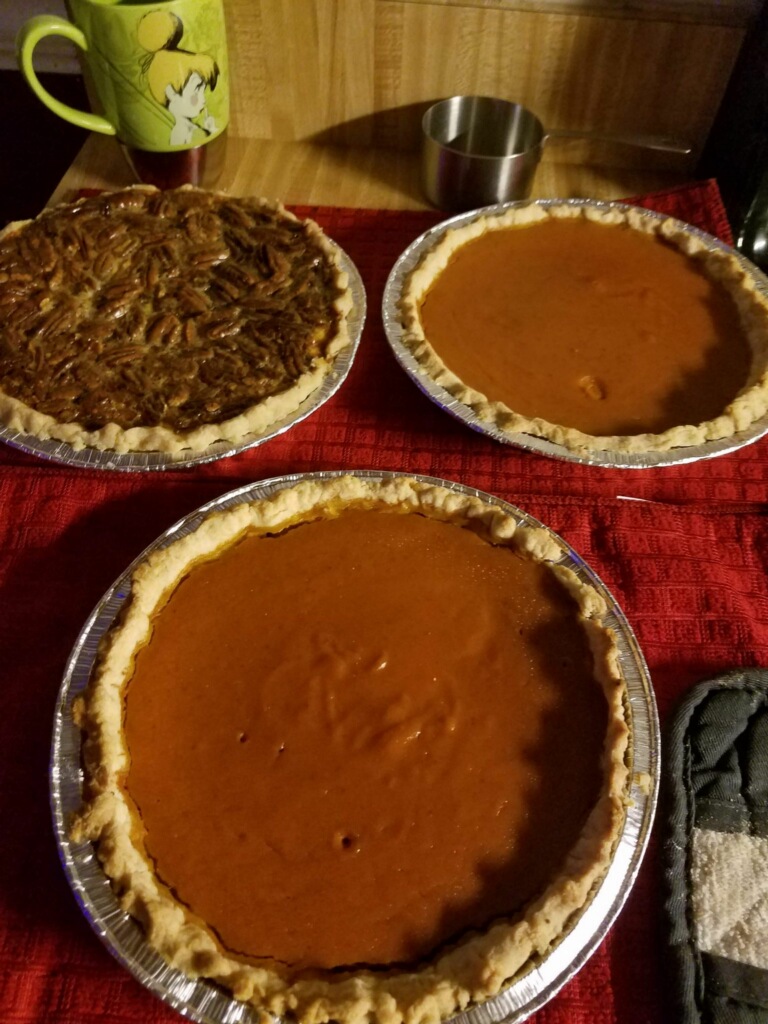 Pies Christmas 2018.JPG