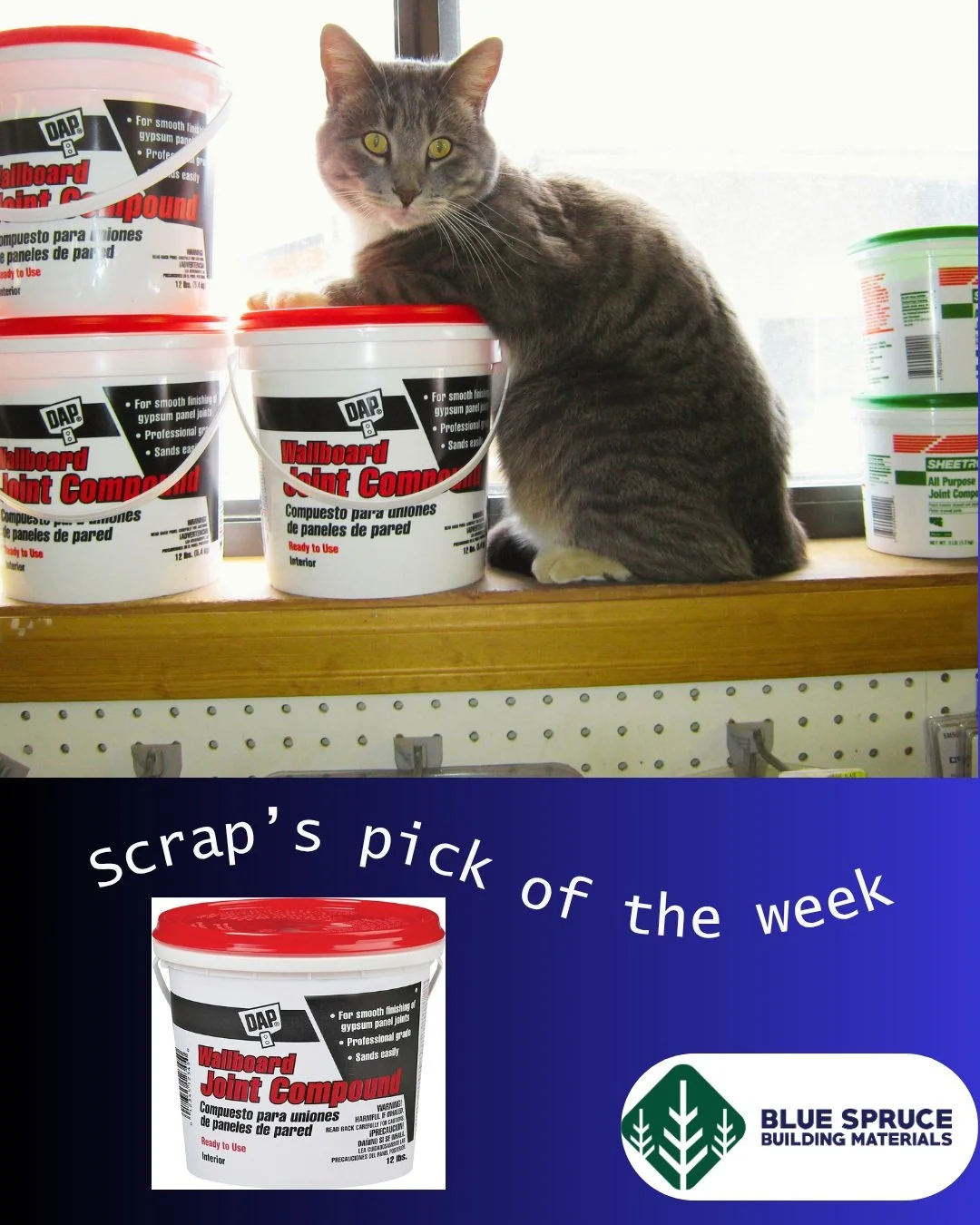 A product so great, our kitties sleep with it!

Scrap is part of our pest control unit here at Blue Spruce! Besides lounging in the window by our joint compound, he loves long scratches on his back and drinking from dirty mud puddles. (Yes, he has cl