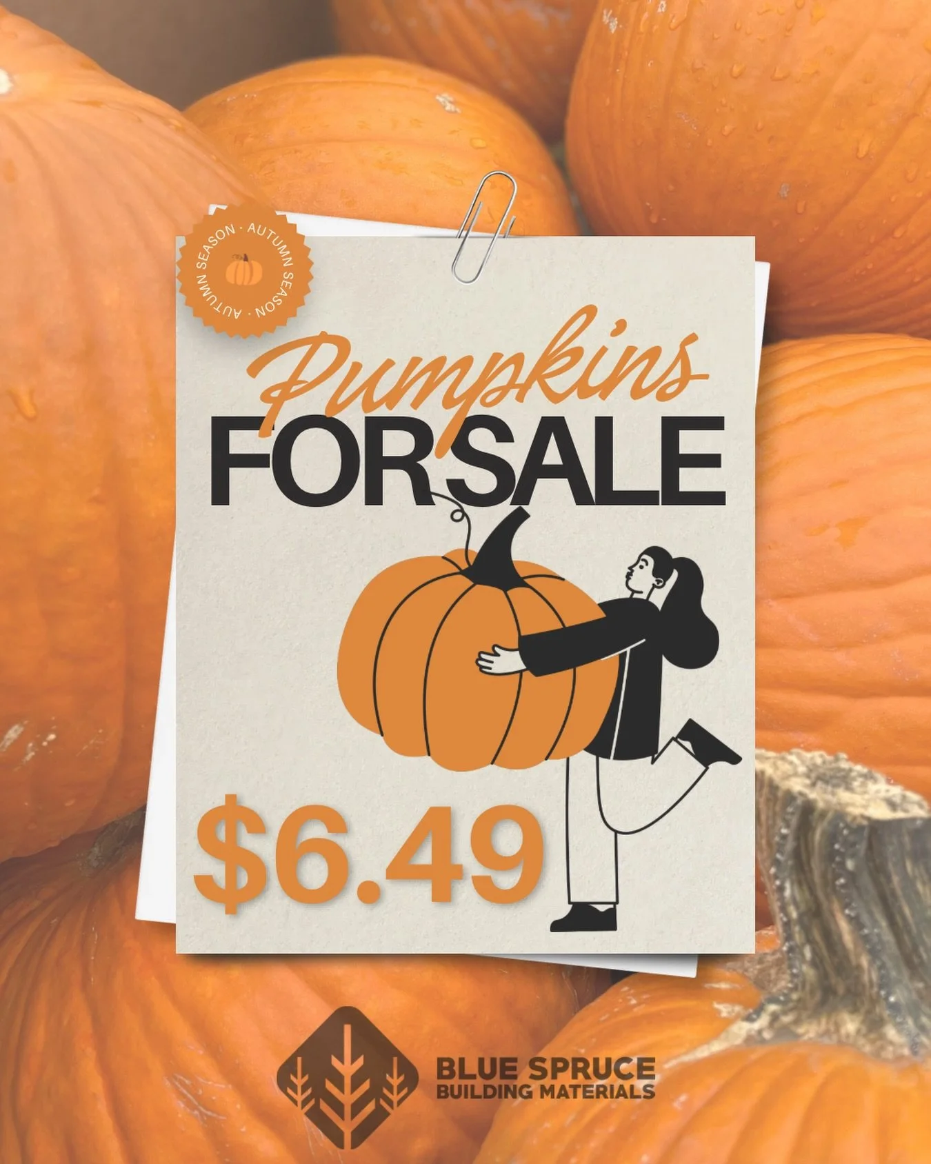 🎃 We are m selling pumpkins!
That&rsquo;s right&mdash;for just $6.49, you can take home a prime piece of autumn perfection. Whether you need a front-porch star, a future Jack-o&rsquo;-lantern, or just a gourd to stare at fondly, we&rsquo;ve got you 
