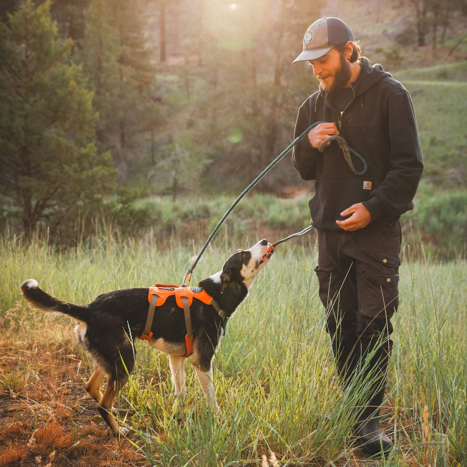 Meet The Rogues — Rogue Detection Teams