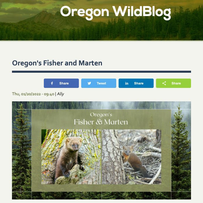OregonWildBlog.jpg
