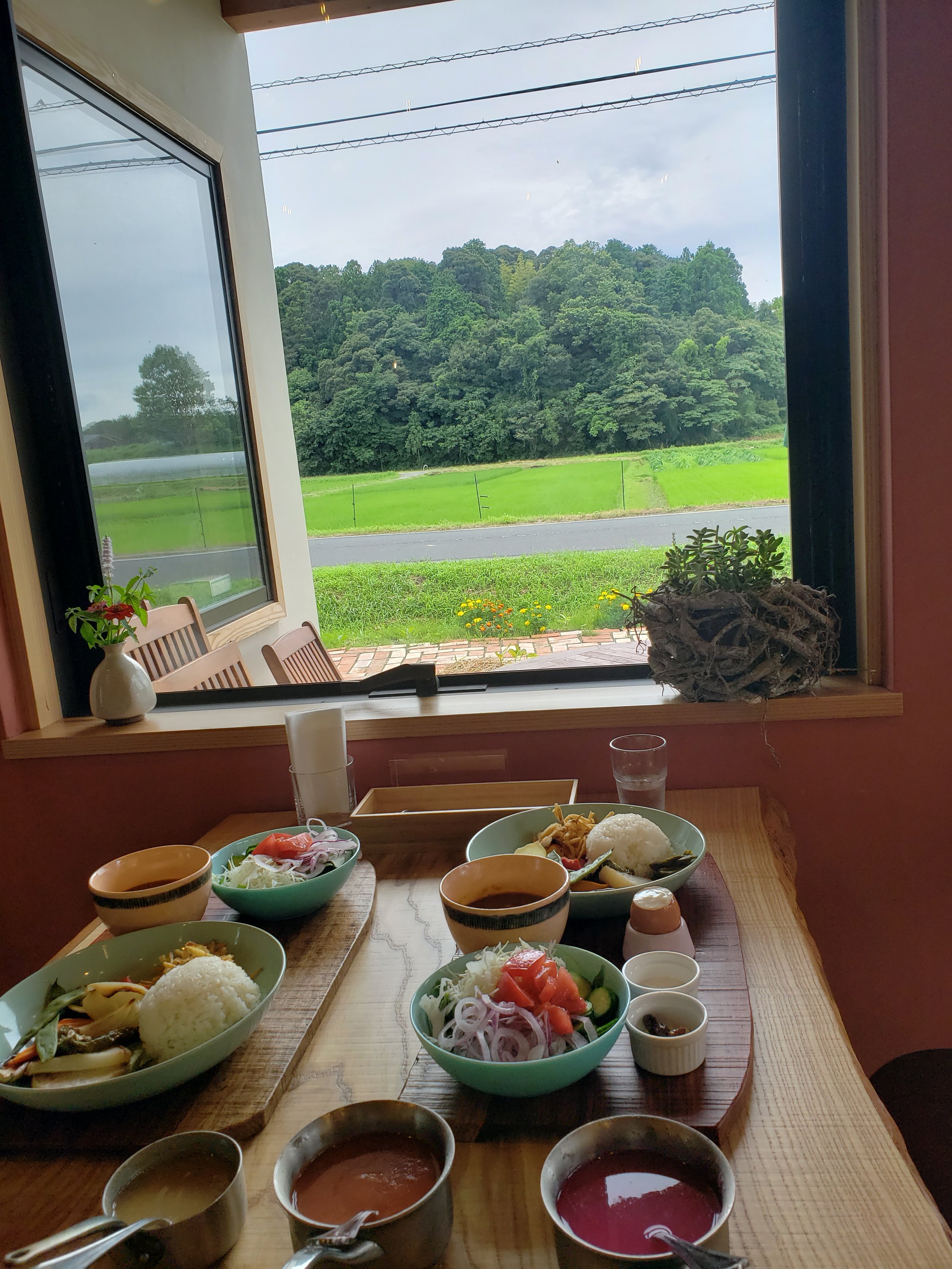 view outside.jpg