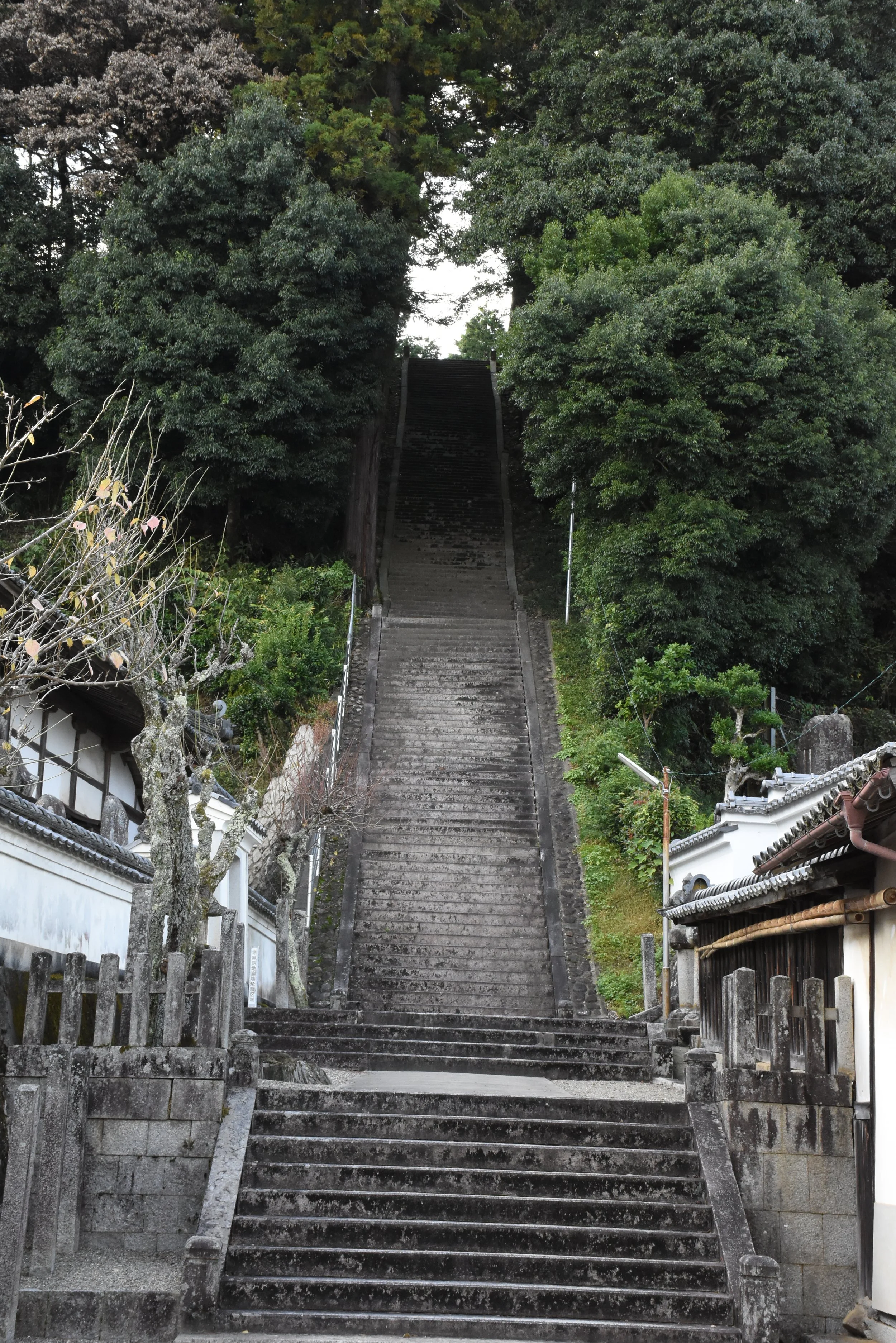 ちりめん街道 (10).JPG
