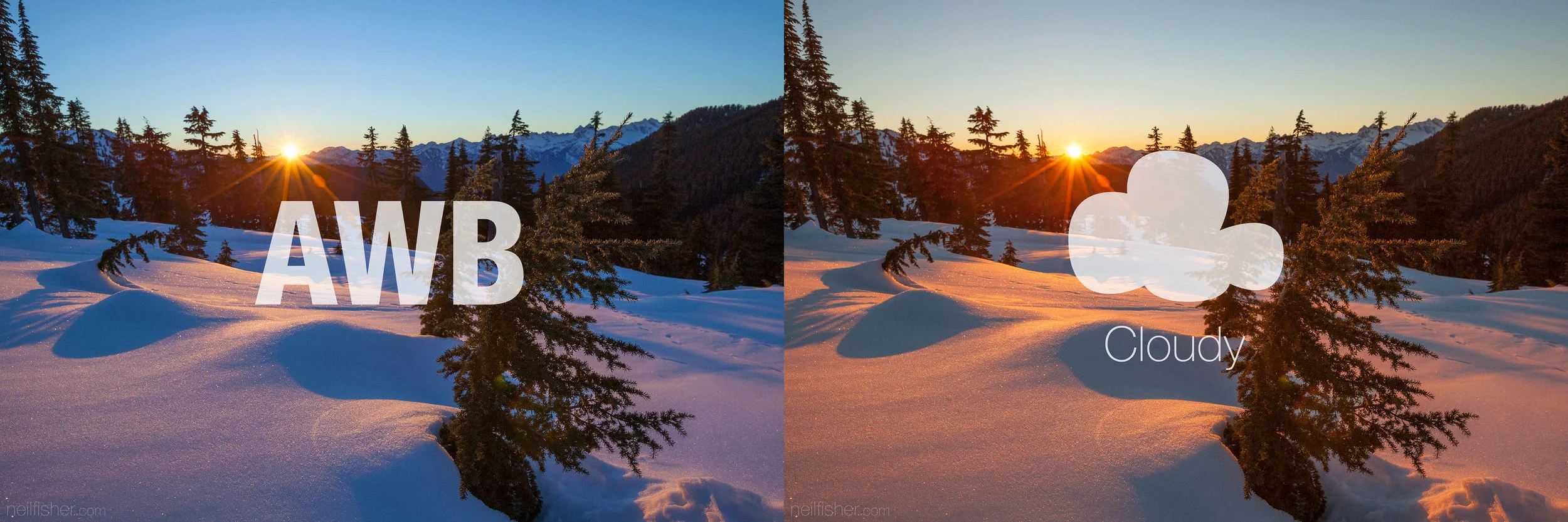White Blance In Winter.jpg