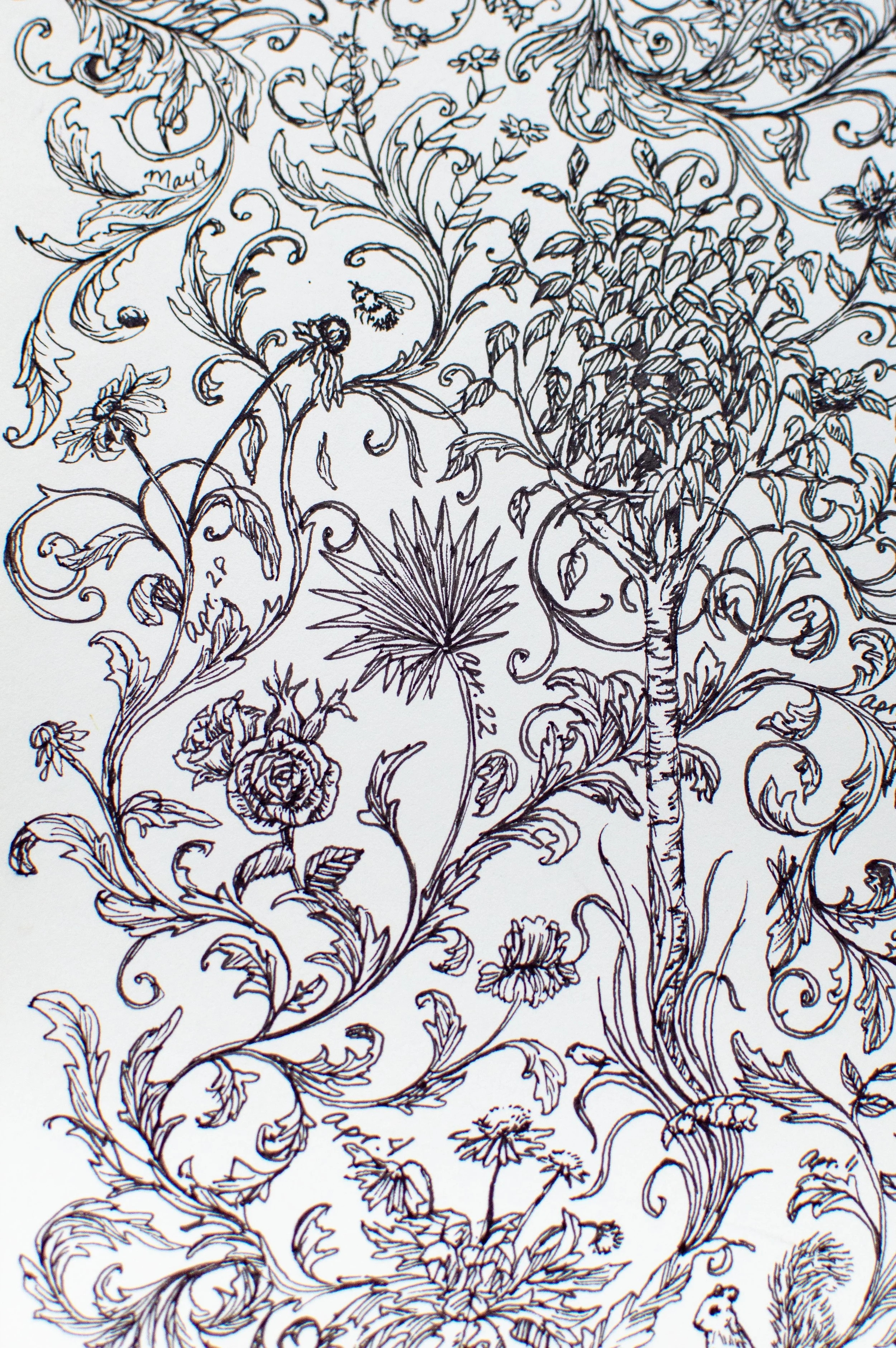 Sketchbook with black ink botanical drawings