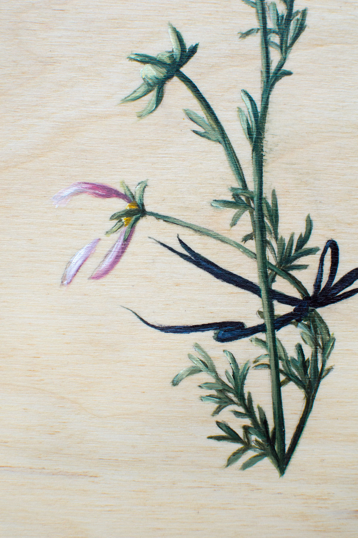 Spring Collection Oils 2019-5.jpg