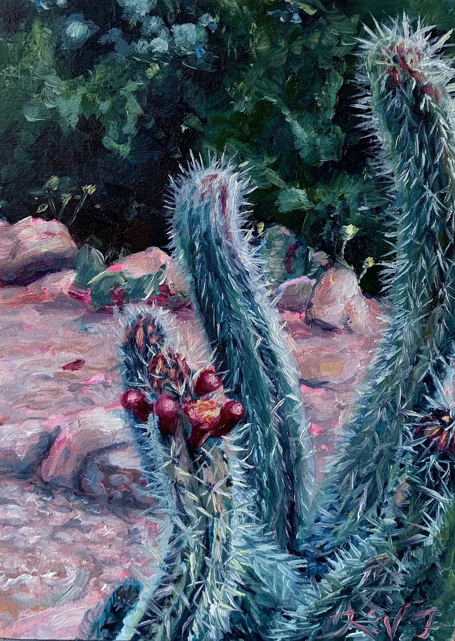 Snaking Cactus Oil Painting by Florida Artist Kara Valentino Ffield 