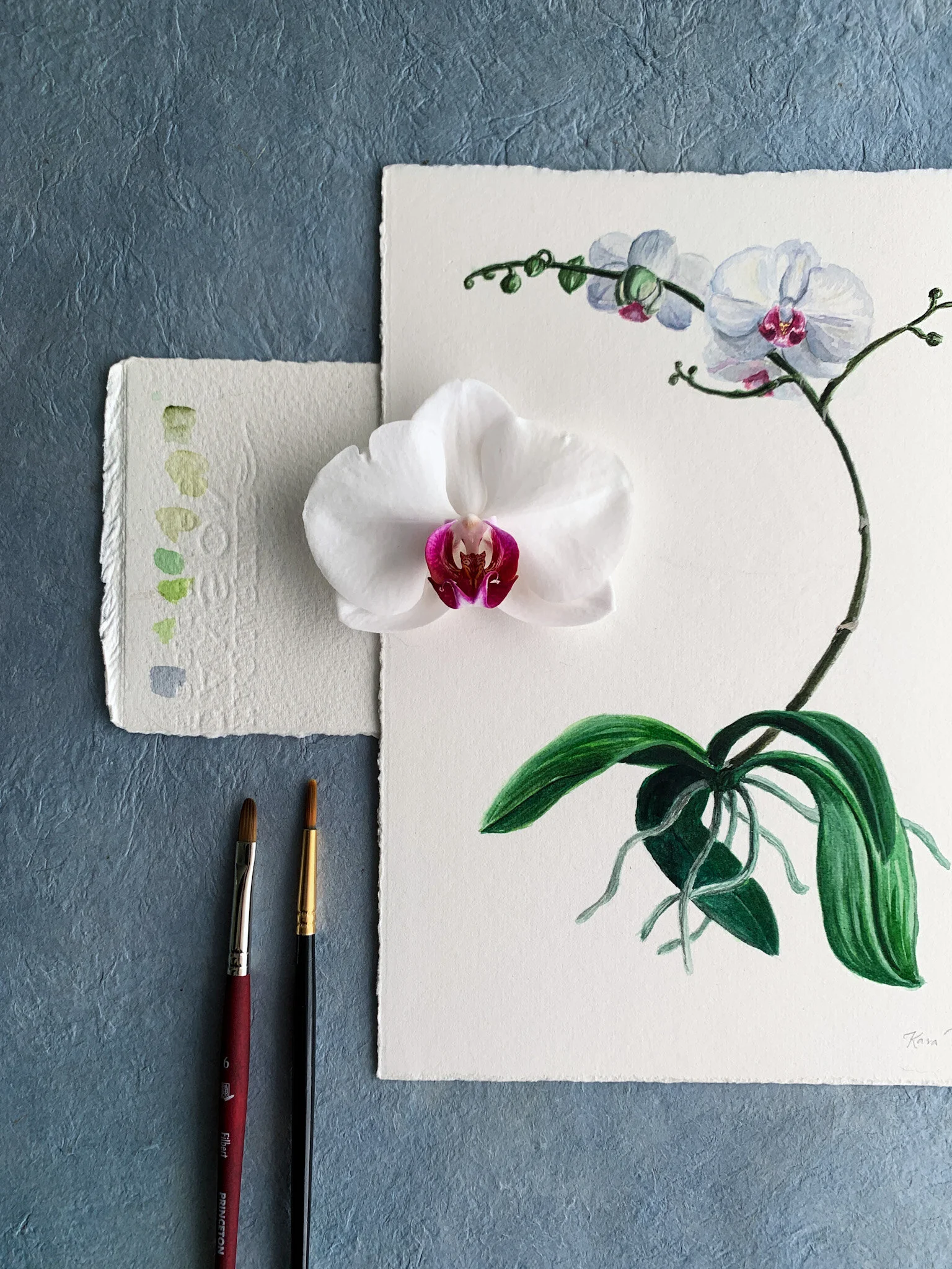 What I’ve Been Painting - A Studio Behind-the-Scenes