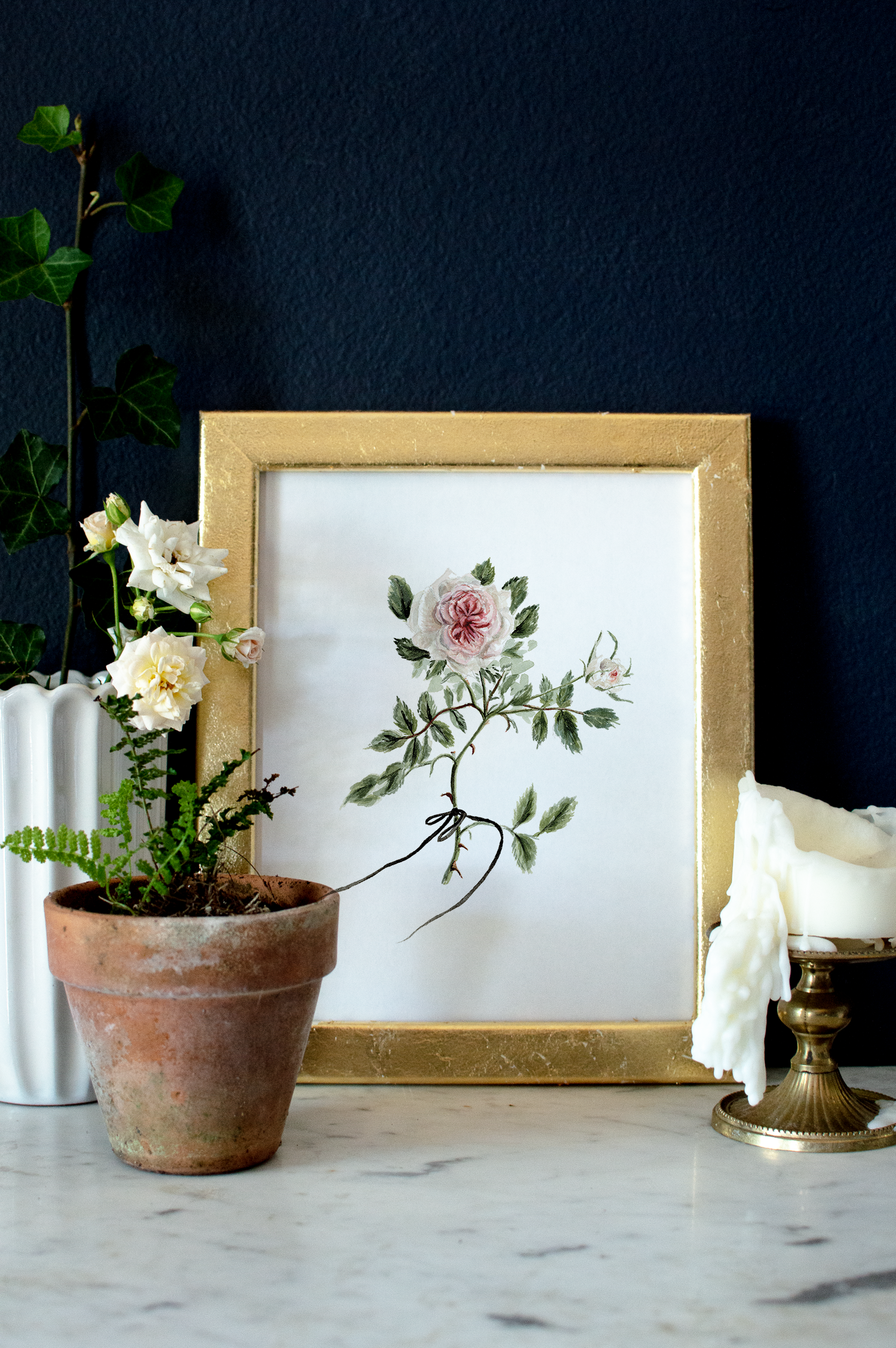 Spirits &amp; Specimens Collection Film