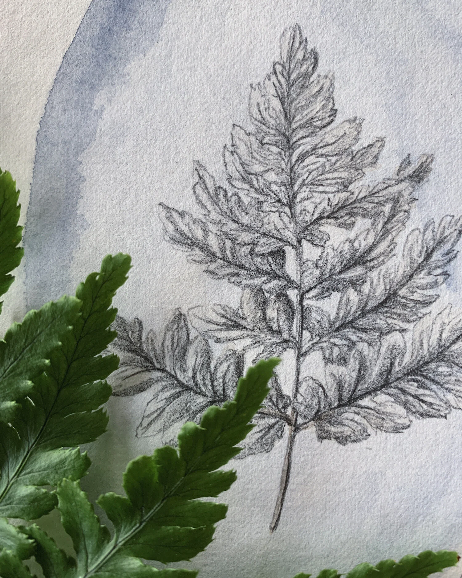 Behind-the-Scenes Studio | The Walk In the Woods Collection