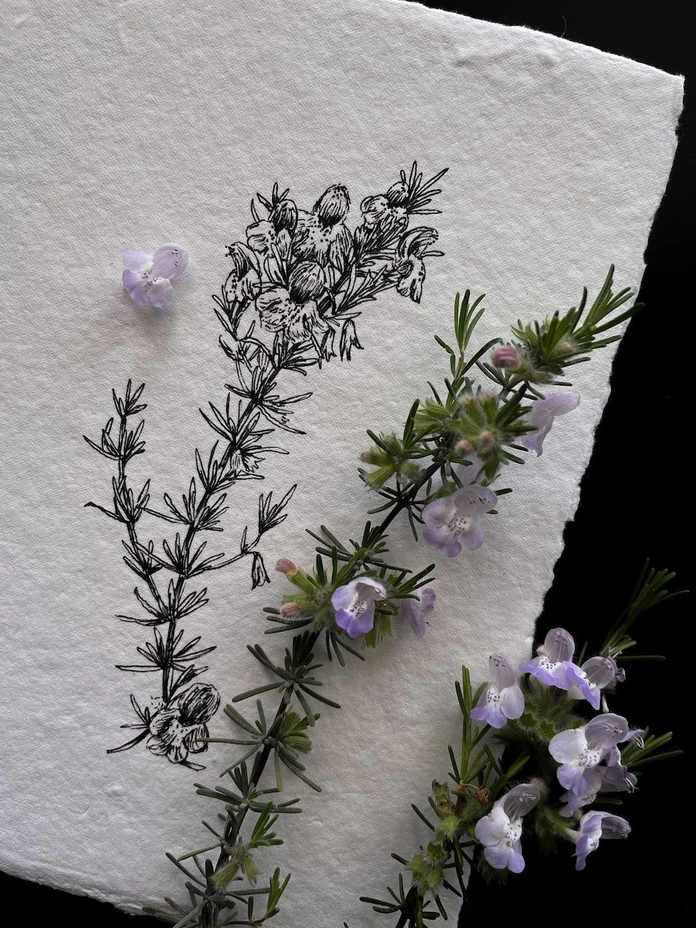 Behind-the-Scenes Studio| Spring Flowers