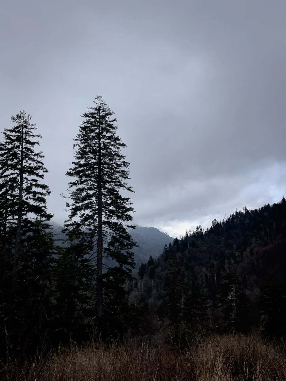 Escape toward the Mountains - Knoxville &amp; Highlands