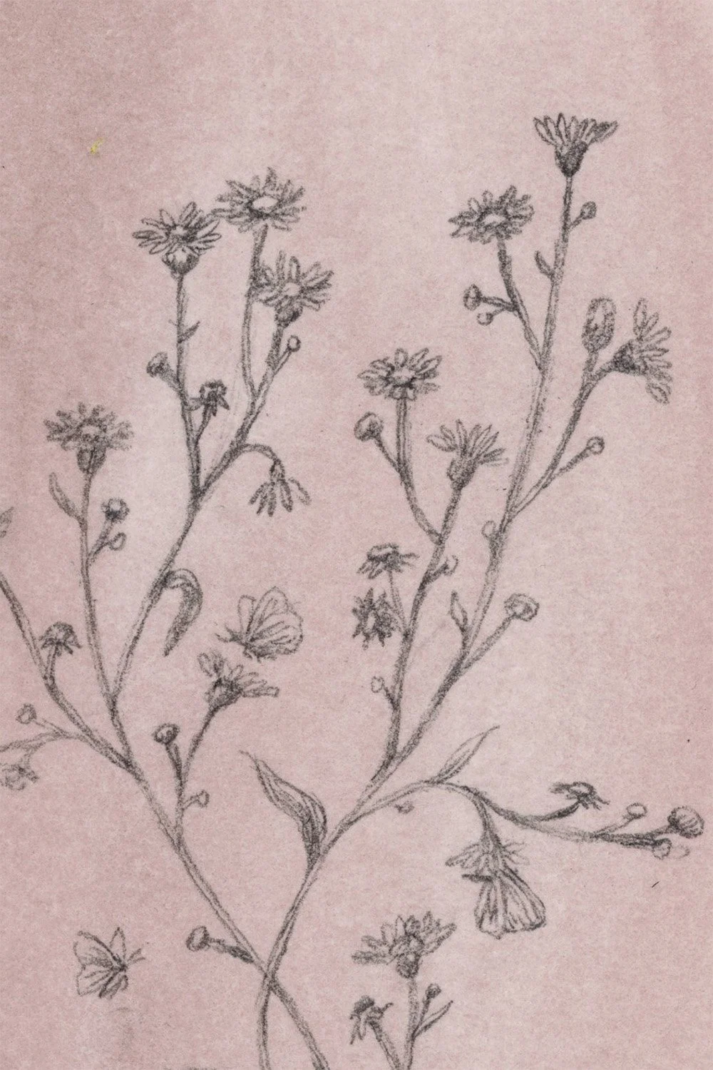 Small offerings detail.jpg