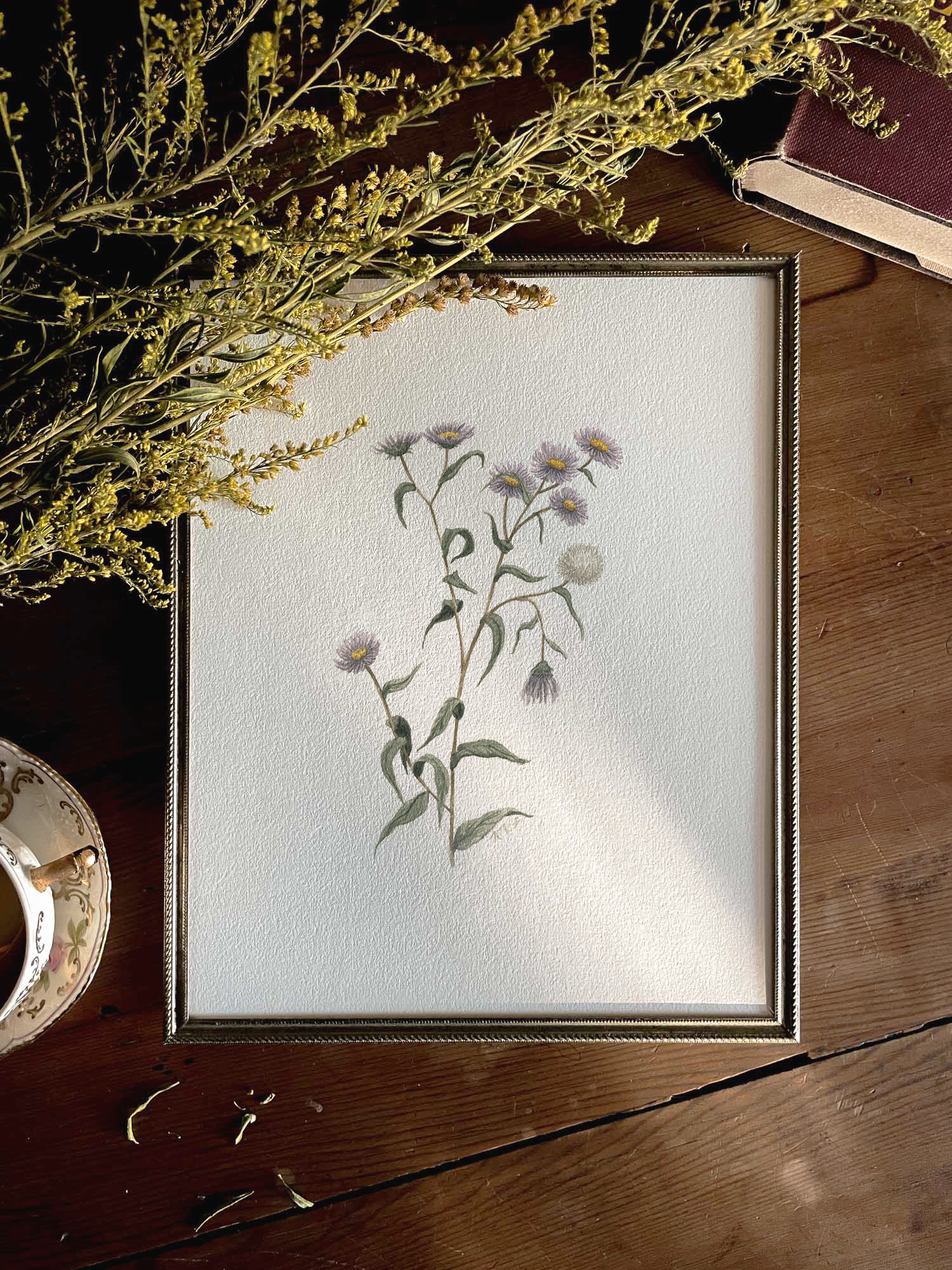 Aster in brass frame.png