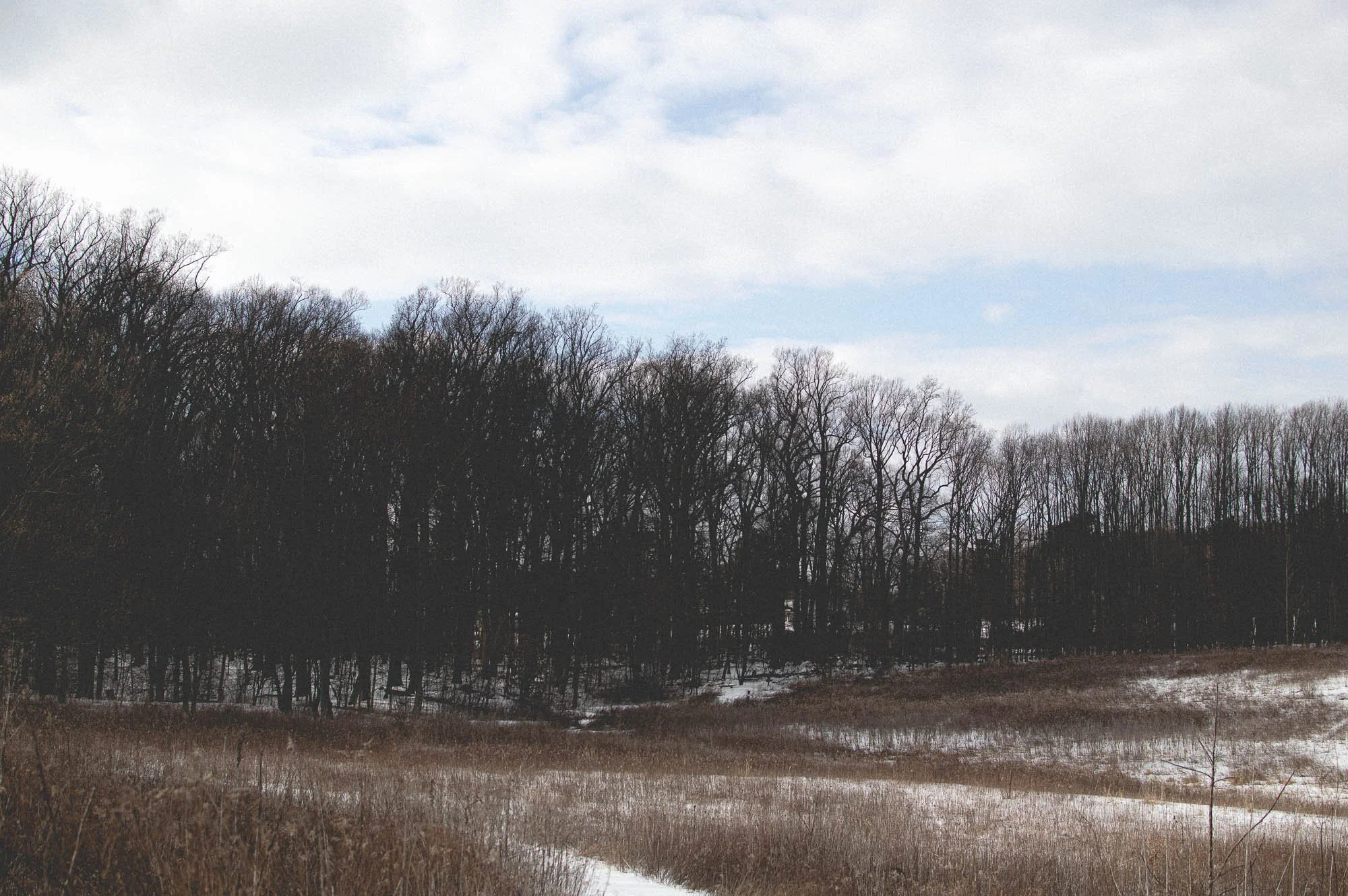 The meadows at Longwood Gardens in the winter snow