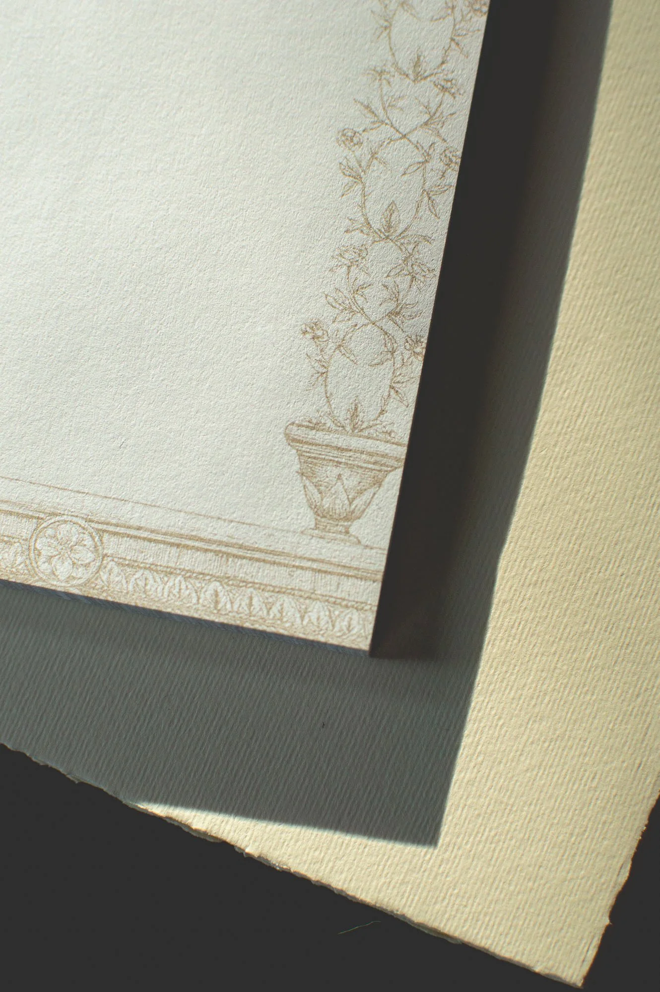 Rose Arch Notepad | Kara Valentino Ffield-2.jpg