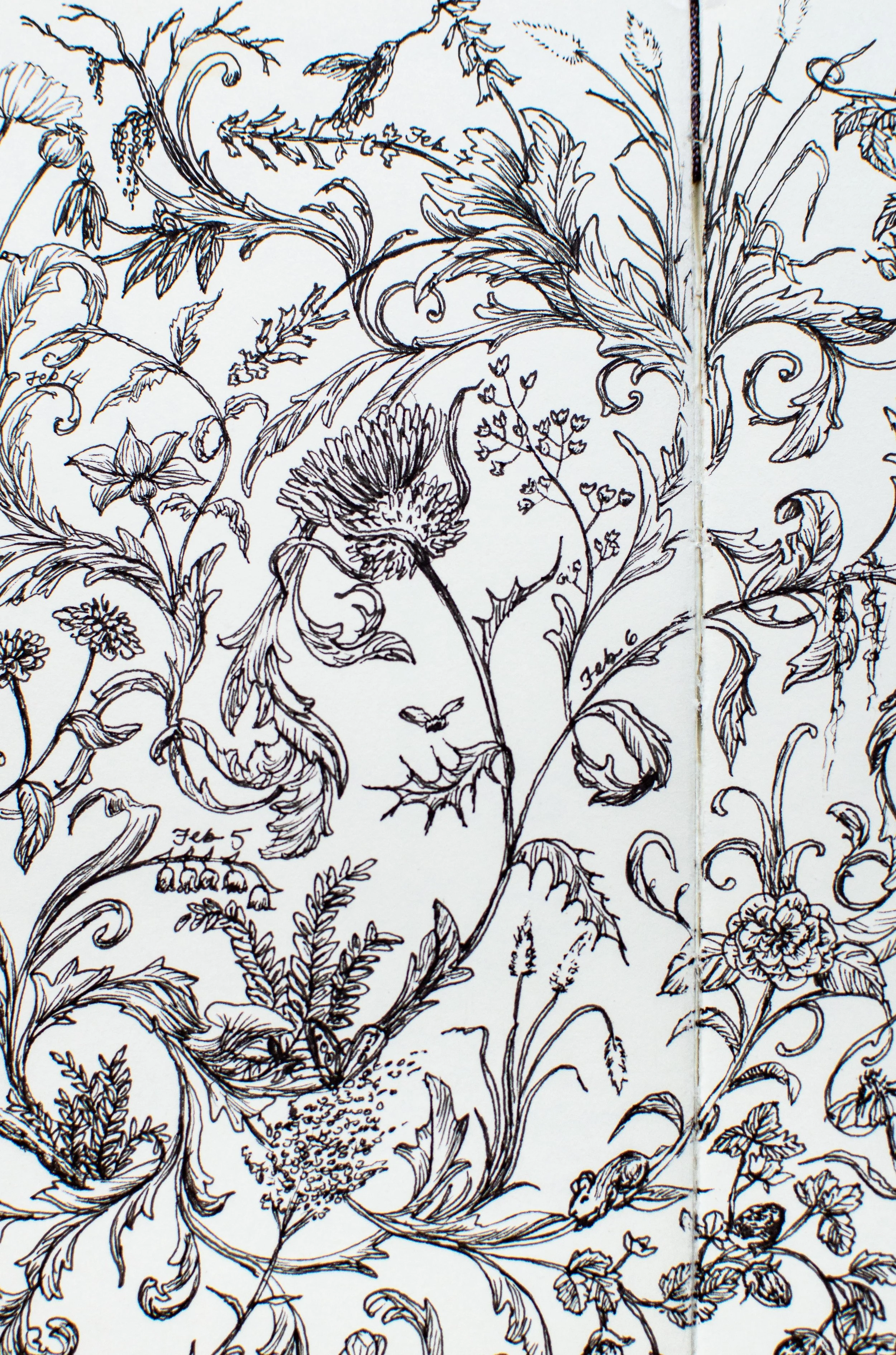 Sketchbook with black ink botanical drawings