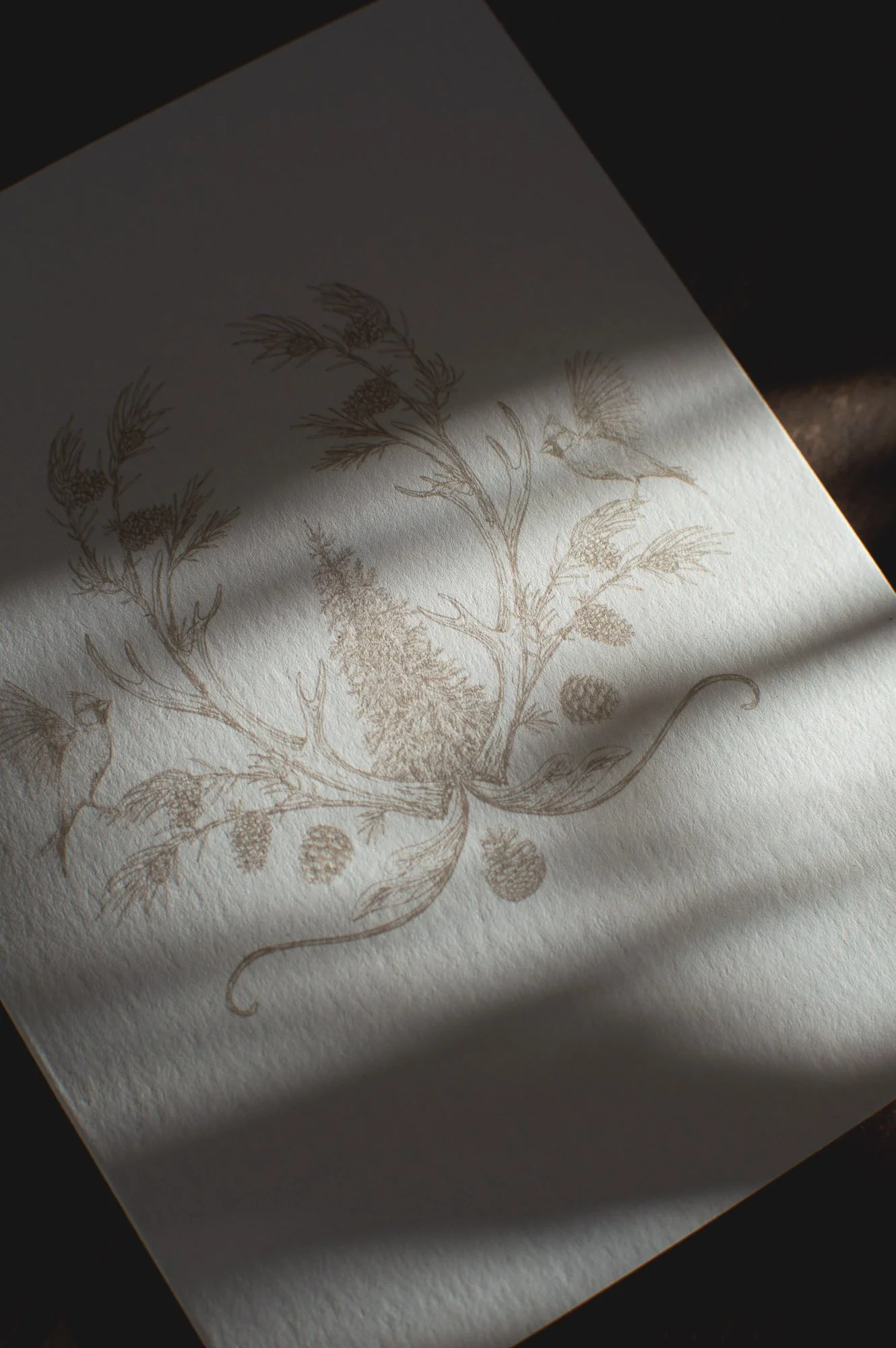 Cardinal Card Detail_ Kara Valentino Ffield.jpg