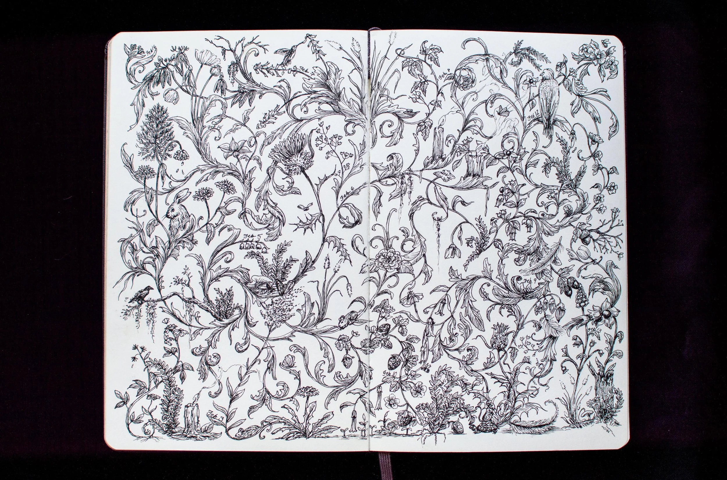 Sketchbook with black ink botanical drawings