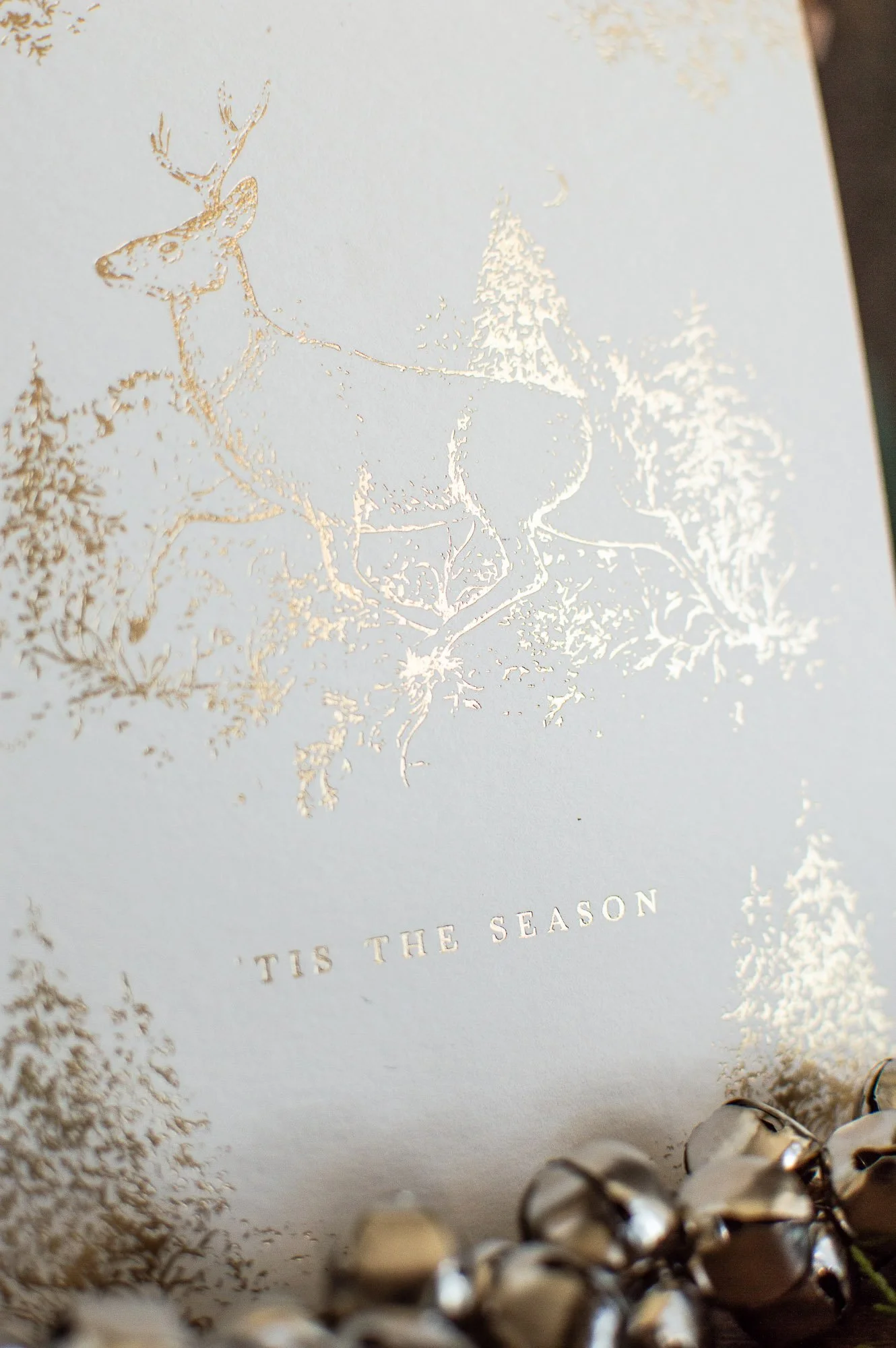 Deer Toile Card