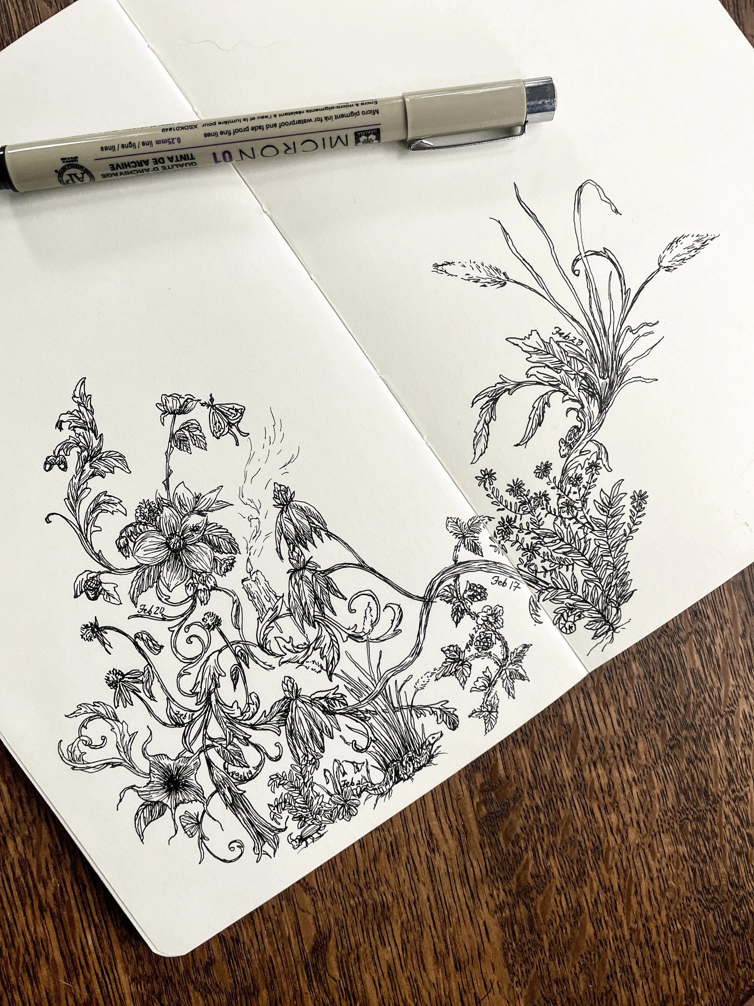 open sketchbook with cream colored pages on wood table. Black ink drawings of flowers with looping decorative botanical accents.