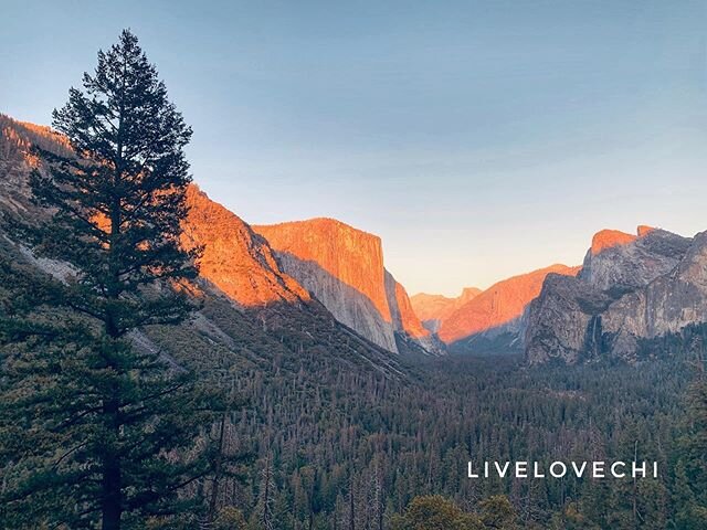 The evening light casts an ephemeral sight: a warm, receding glow on the giants of the valley. ⠀⠀ #yosemite #yosemitenationalpark  #yosemitevalley #nationalparks #awesome #naturesbeauty #naturelovers #instasunsets #all_sunsets #sunset_pics #awesomeea