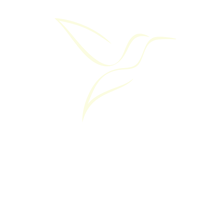 LiveLoveChi