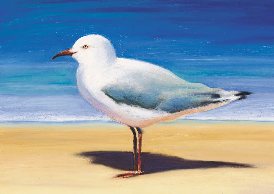 “Hot Shadow Seagull” Soft pastel on paper. 42x30cm. SOLD. Archival prints available .