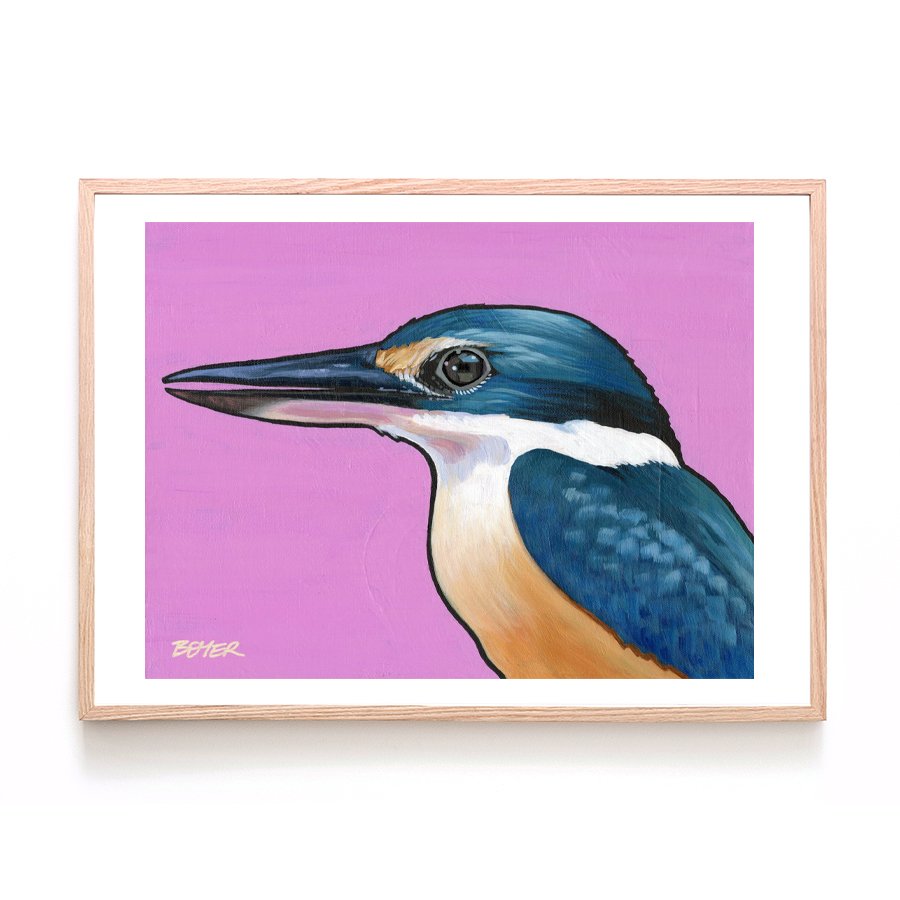 Sacred Kingfisher on Pink