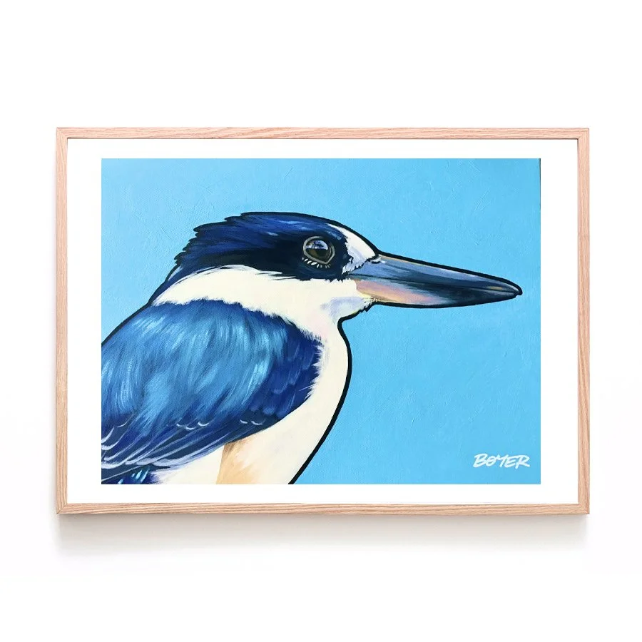 Forest Kingfisher on Blue