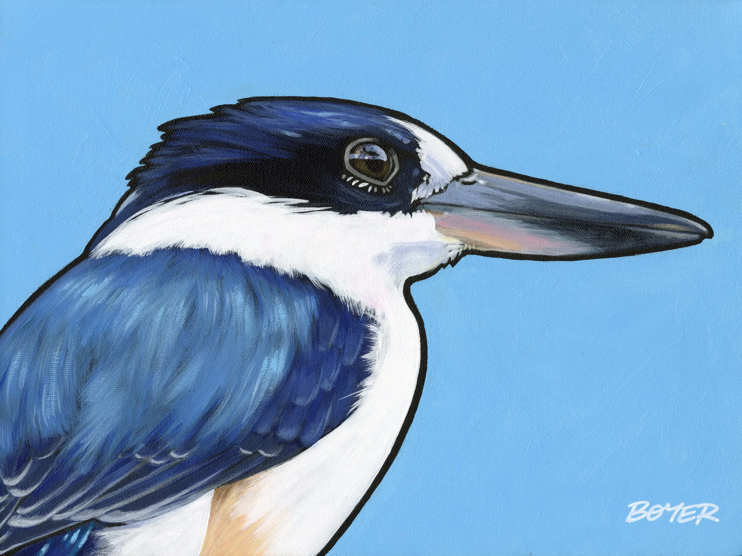 Forest Kingfisher on Blue.jpg