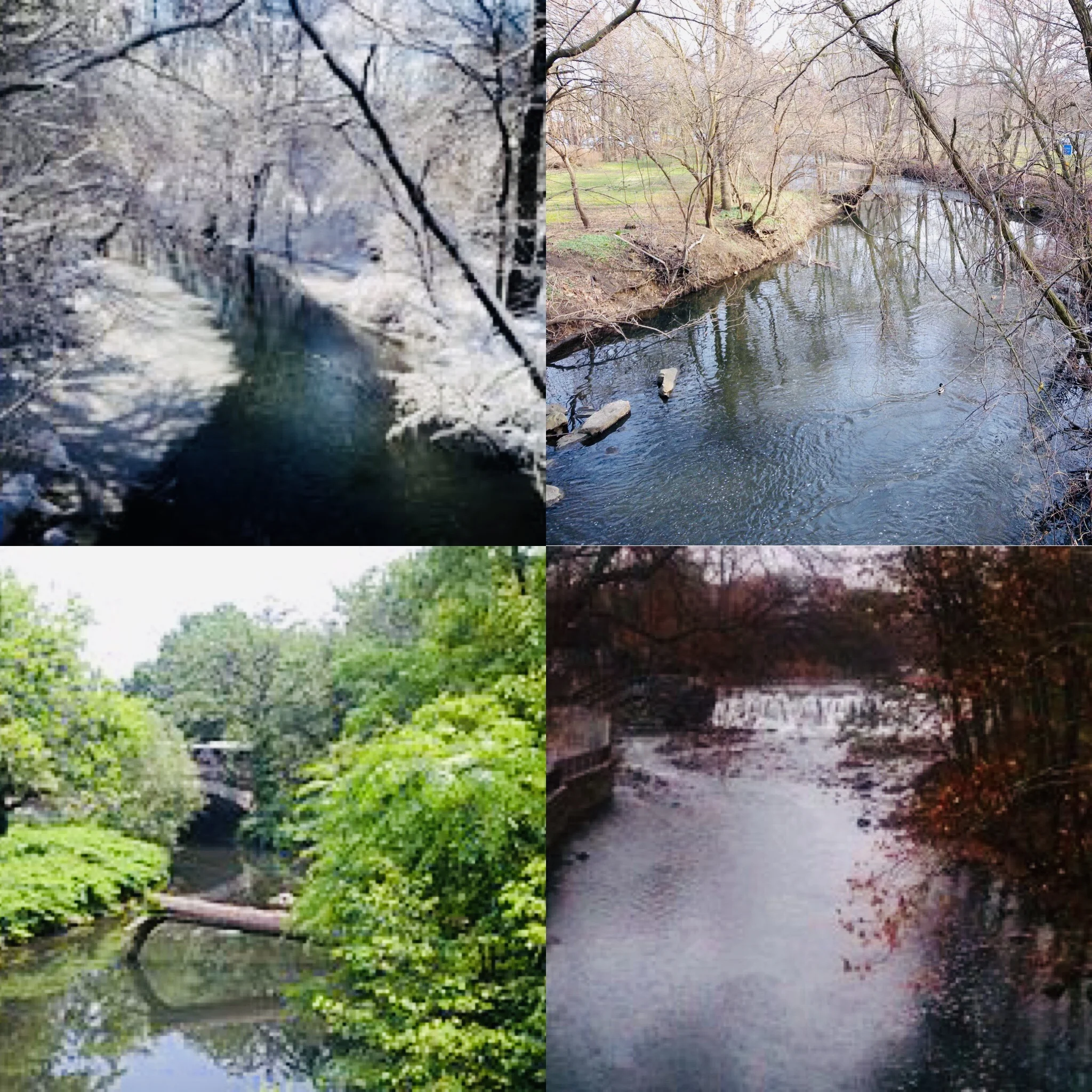 Embracing The Seasons