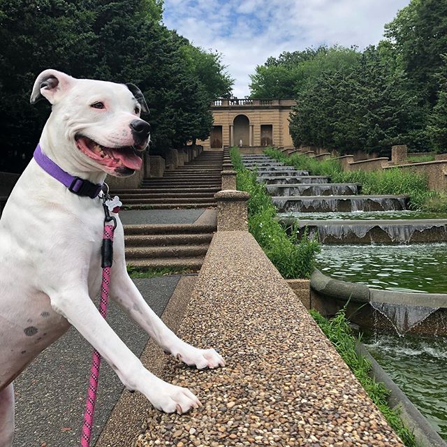 Dad, can I chew on those ducks? (🦆 not pictured)