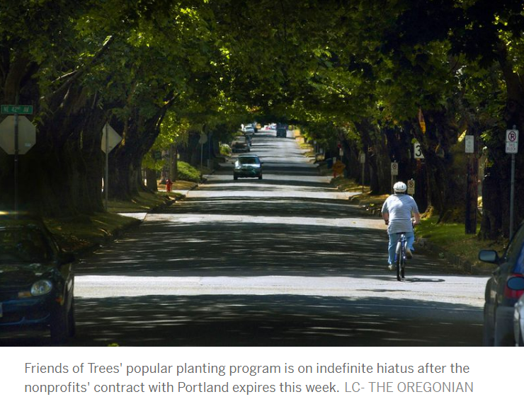 Portland's Tree Canopy: A Fight for Survival.
