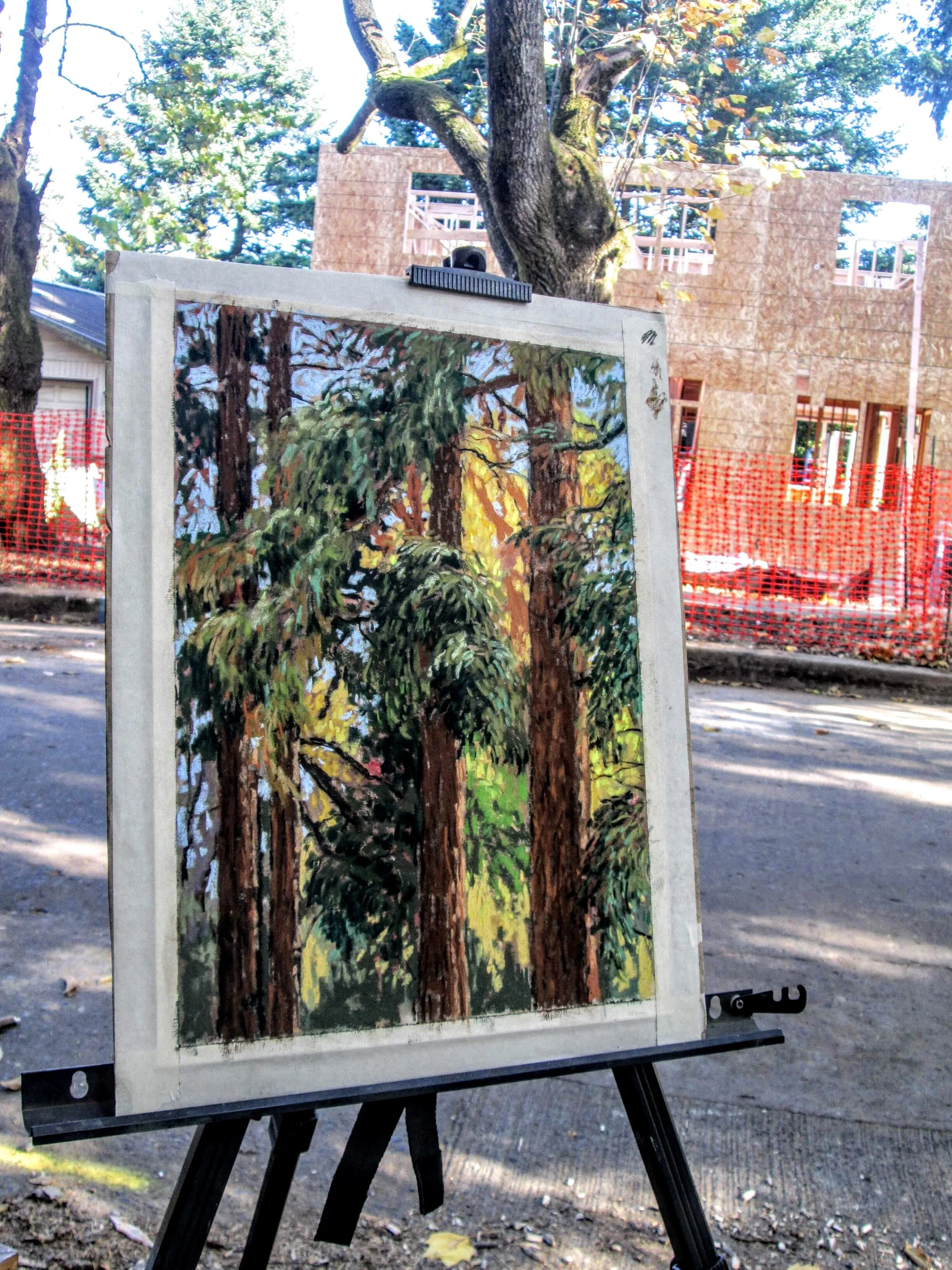 Portland's Better Housing By Design Does Not Adequately Address Environmental Health and Equity, Testifies Trees For Life - 10/2/2019