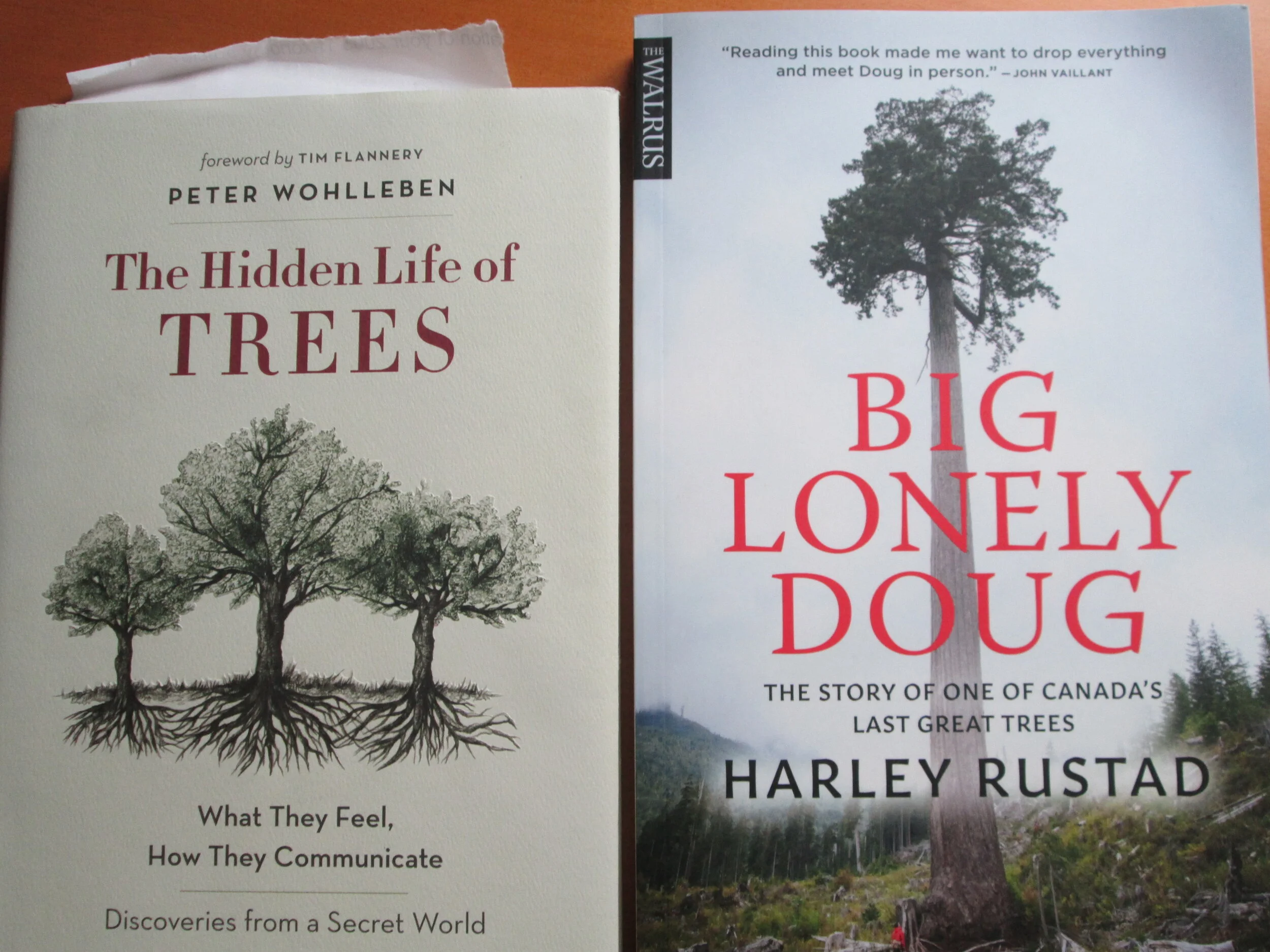 Books About Trees Inspire Us to Protect Them