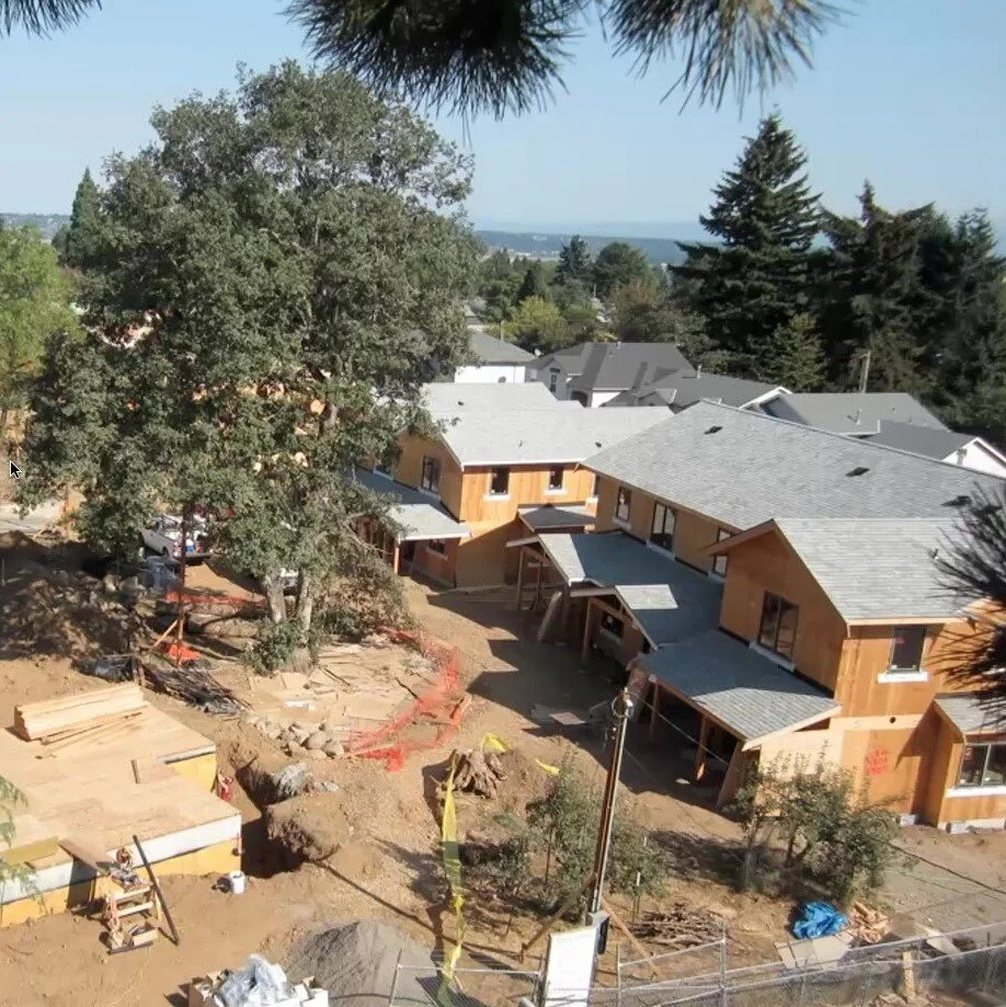 Local Developers Discuss Their Experiences Preserving Large Trees and Suggest How to Make It Easier