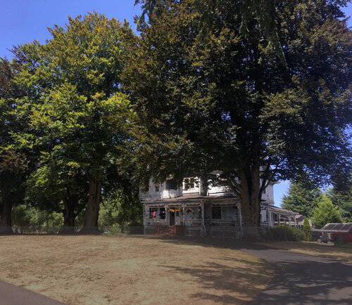  Lots such as this are prime targets for developers hoping to cash in on denser housing rules that allow them to build multiple housing units in formerly single-family neighborhoods, with trees like these European beeches receiving little protection 