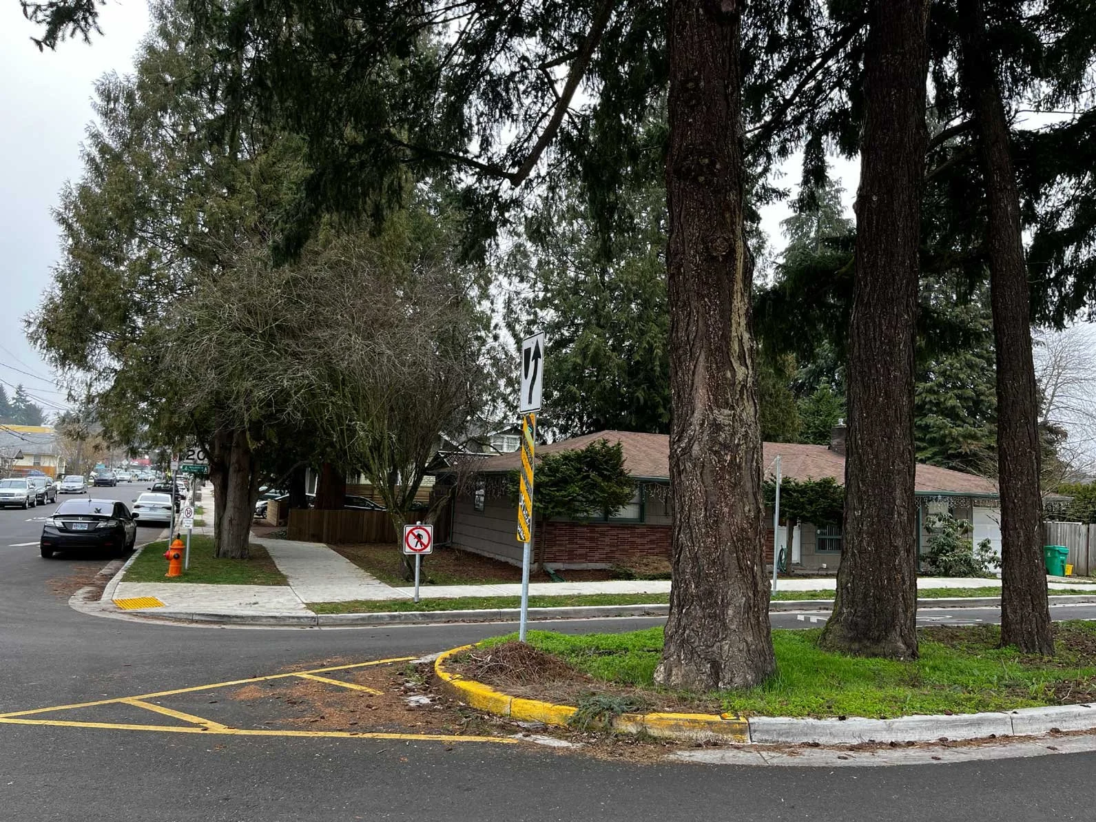 Great Things Can Happen When Portland City Bureaus Cooperate on Trees