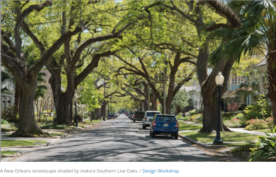 A Citywide String of Green Maintained Like the Public Utility It Is