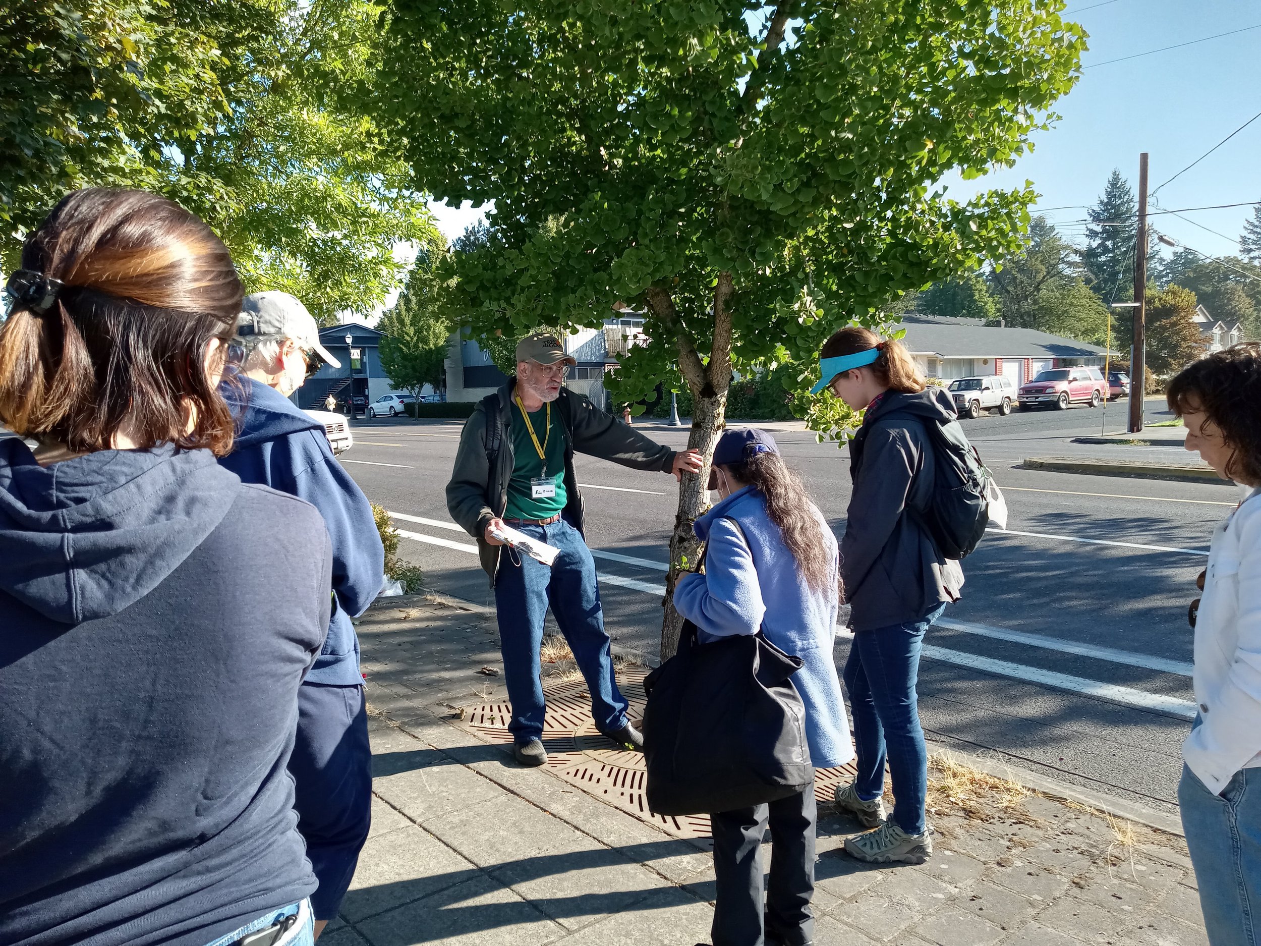 Tree Policy Walk Along NE 102nd Avenue Spotlights Canopy Challenges