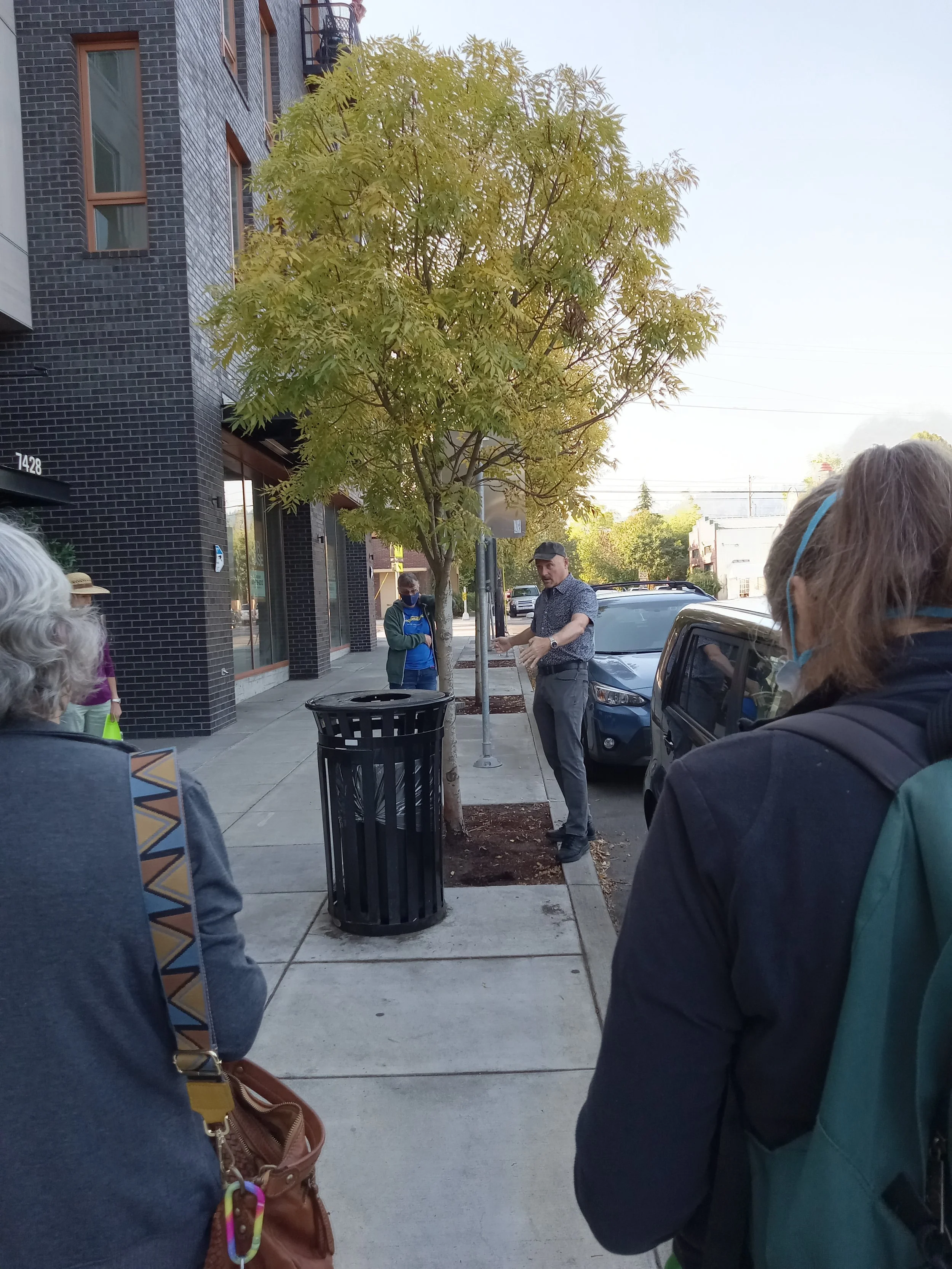 St. Johns Tree Policy Walk Highlights Emerald Ash Borer’s Threat to Canopy
