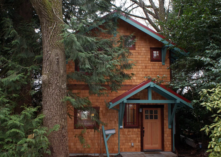 A Homeowner and Arborist Design an AUD Around Big Trees