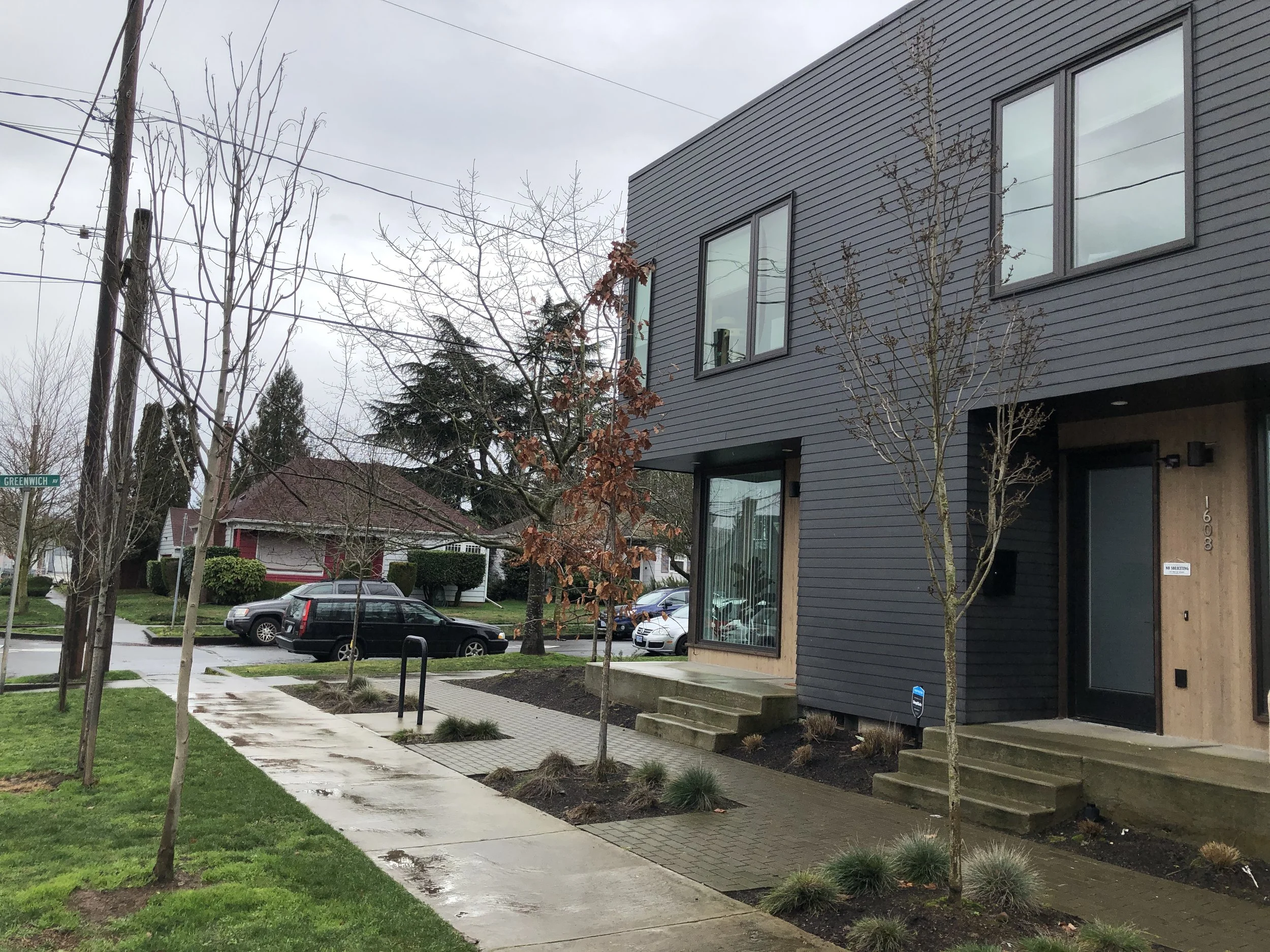 The Bad Vulnerable Trees — Trees For Life