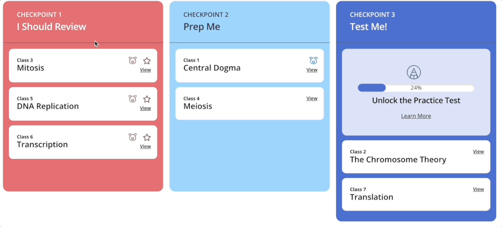 The Study Path — Codon Learning