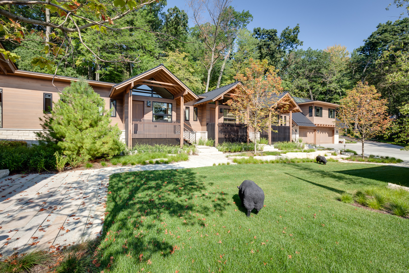 Pine Lake 8