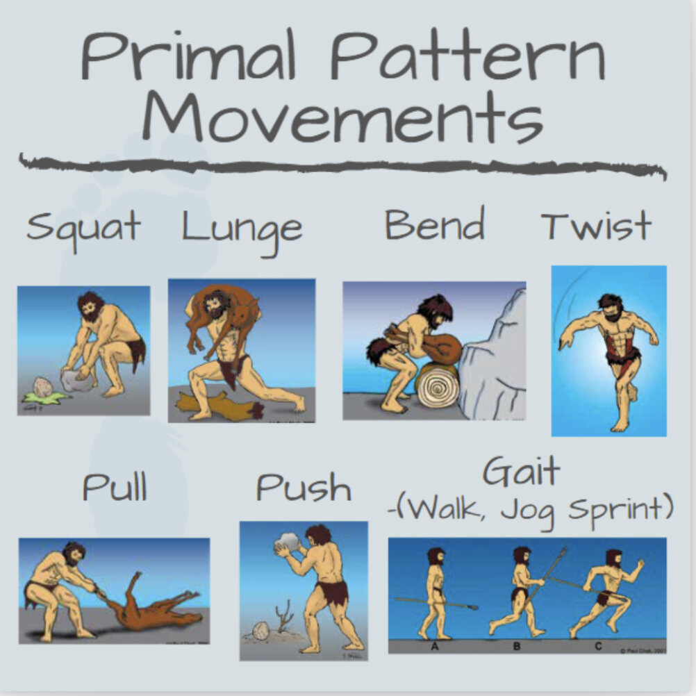 5 Functional Primal Exercises for Posture 